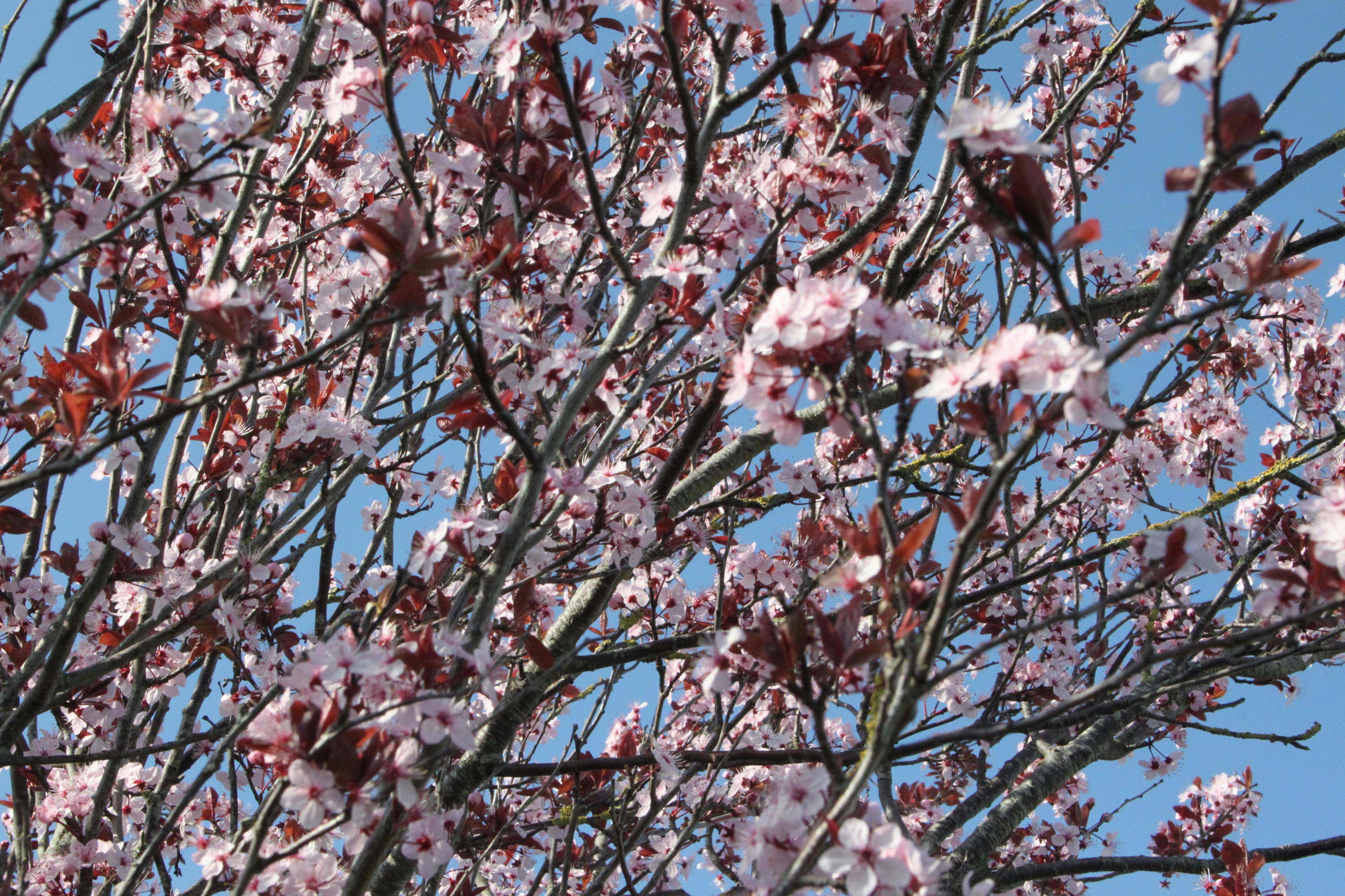 Photo by rubyphotography