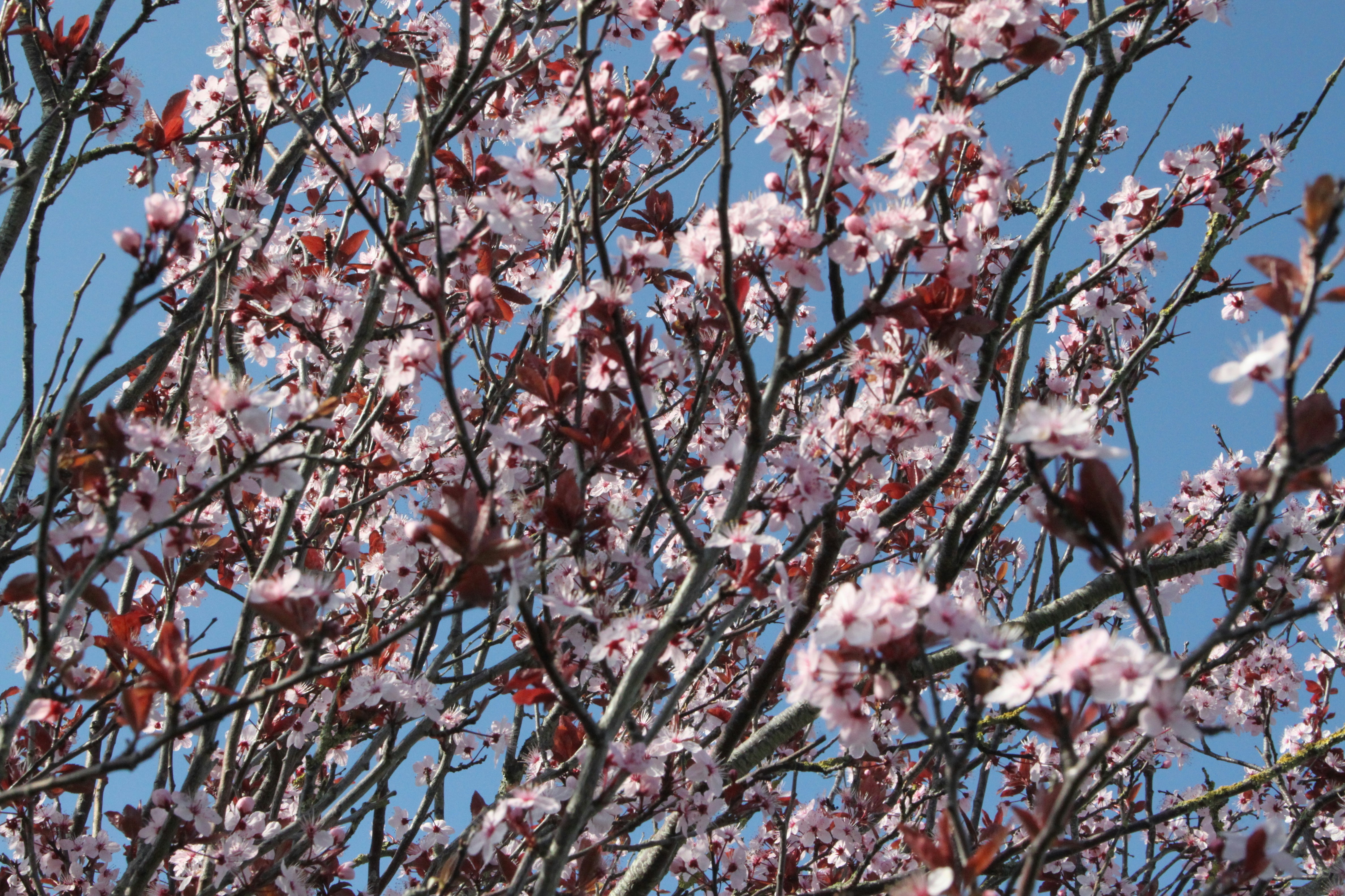 Photo by rubyphotography