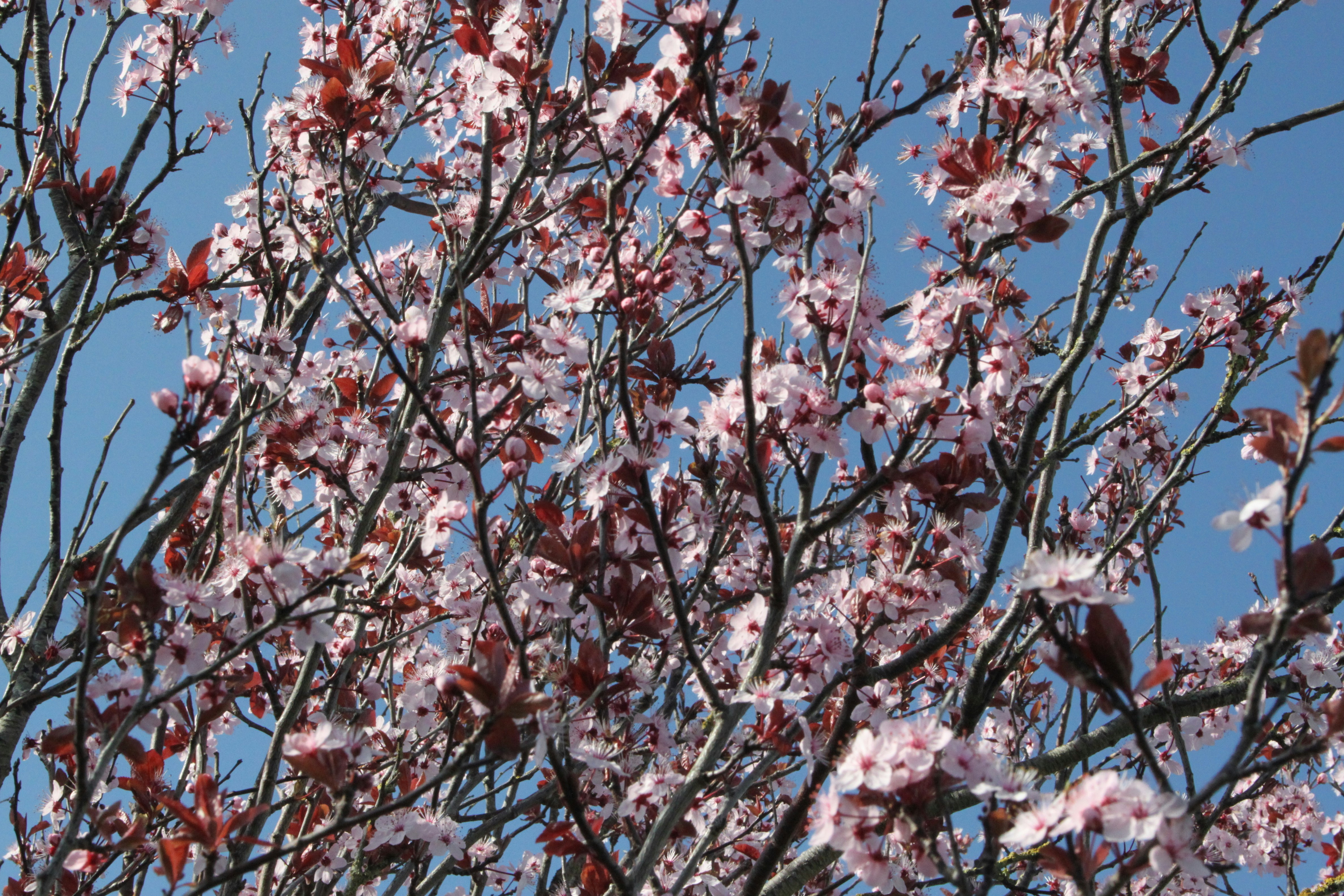 Photo by rubyphotography