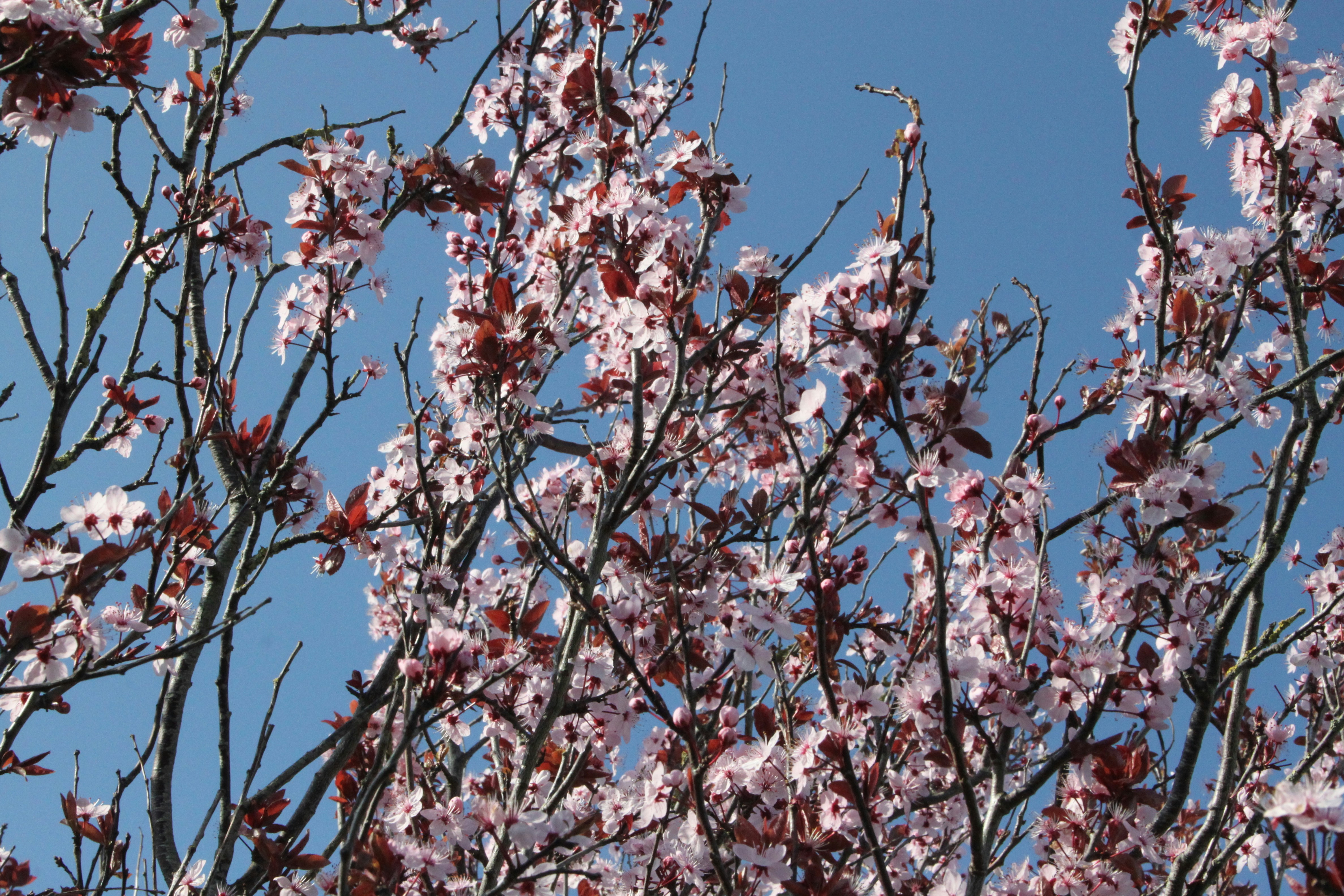 Photo by rubyphotography