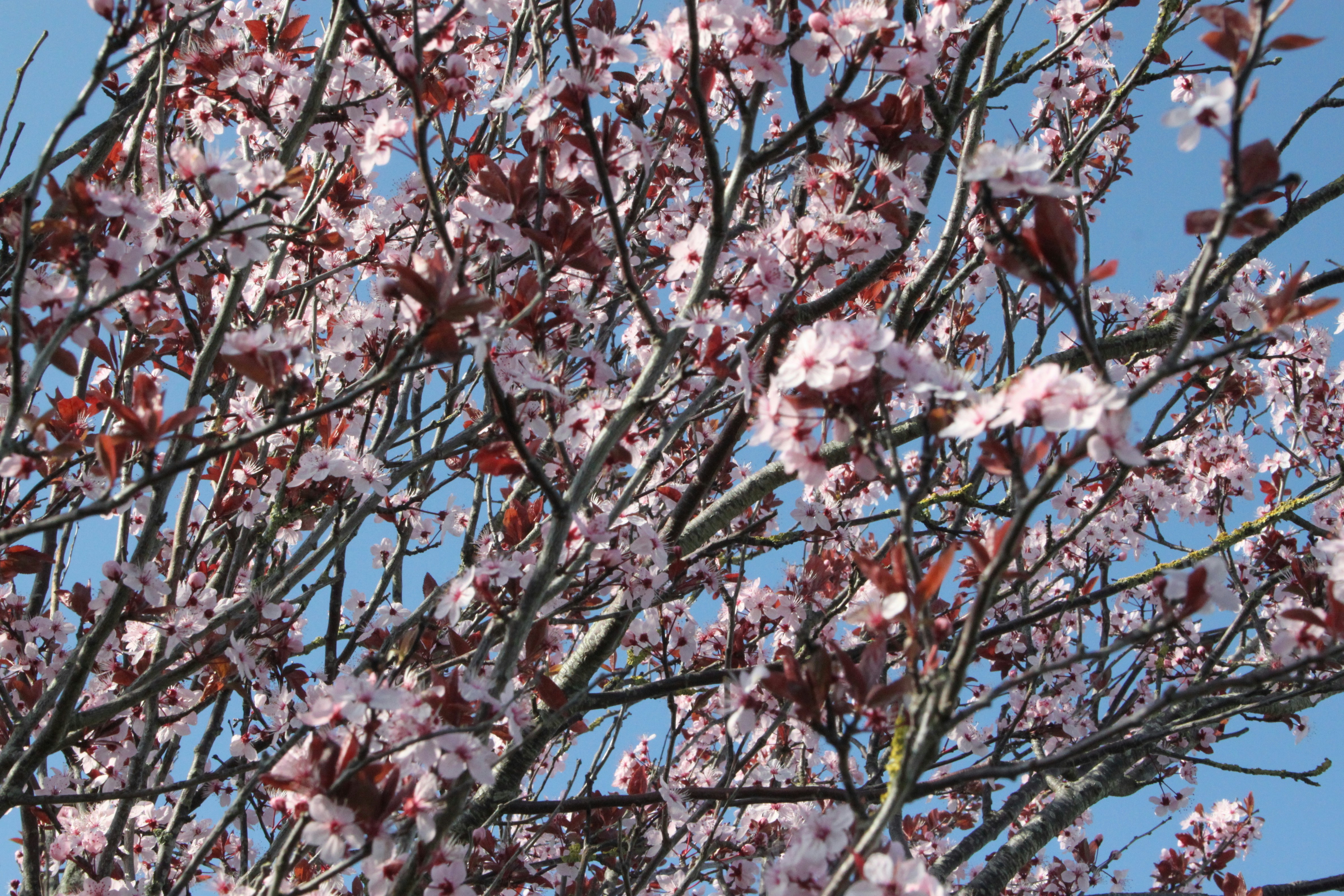 Photo by rubyphotography