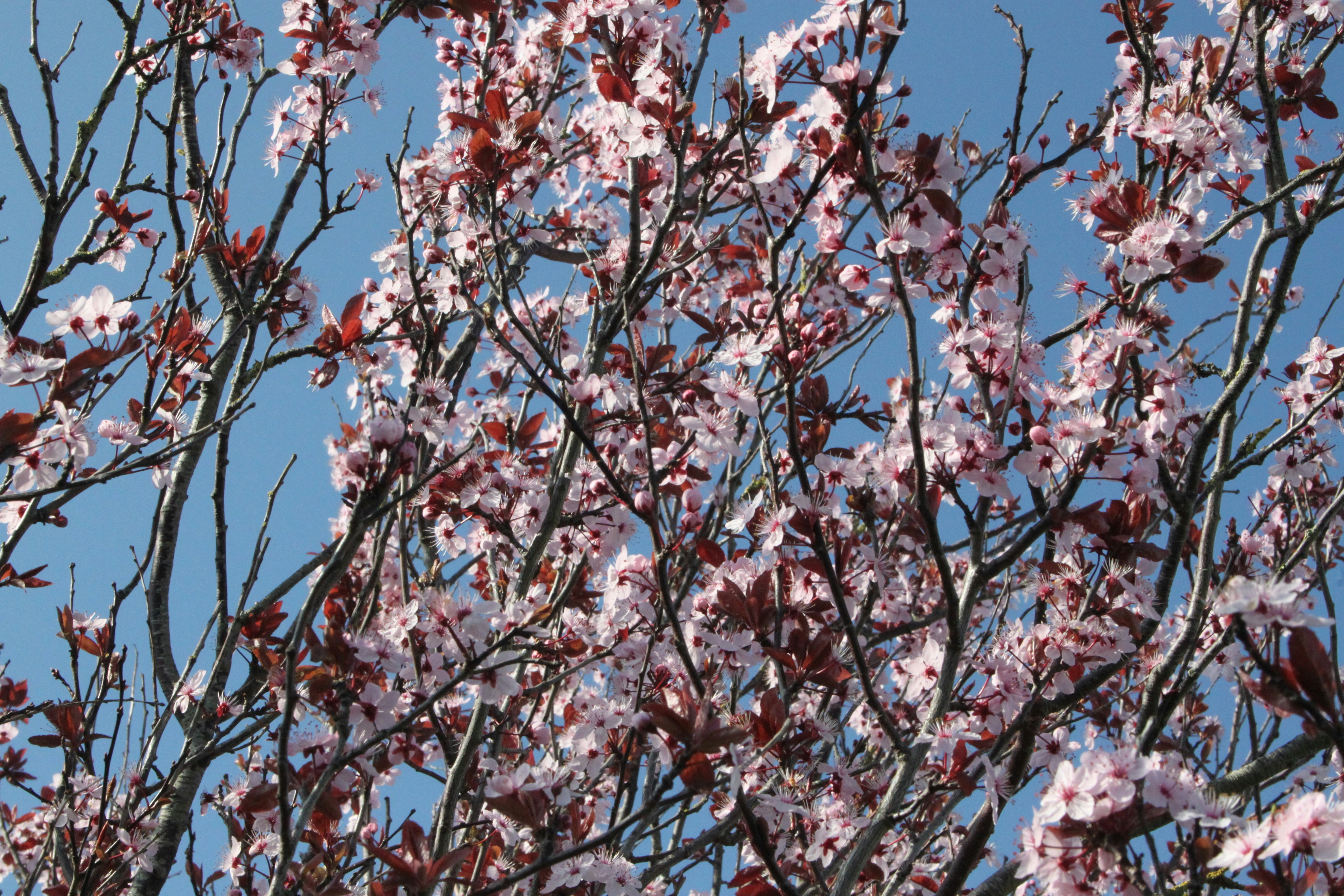 Photo by rubyphotography