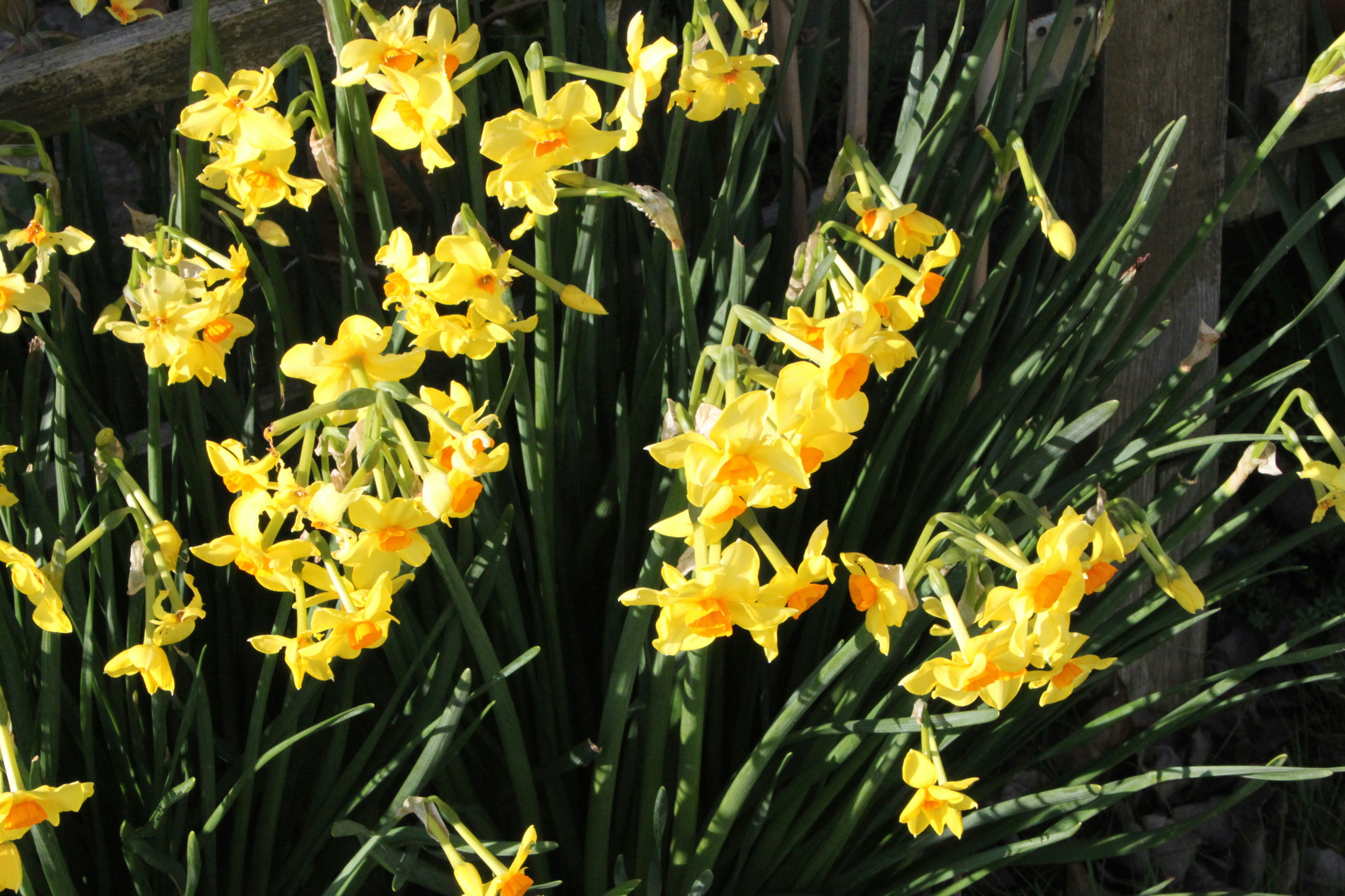 Photo by rubyphotography