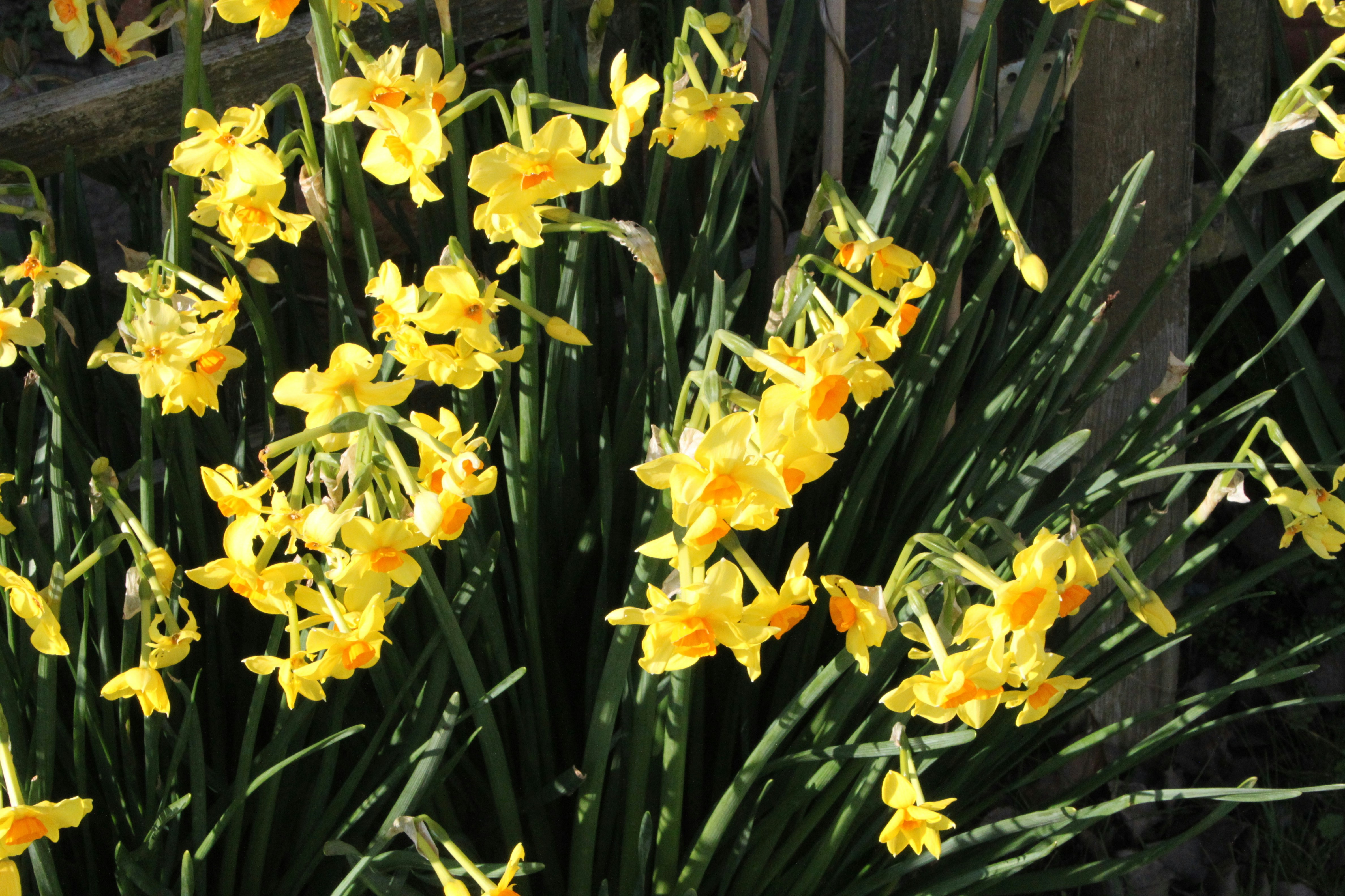 Photo by rubyphotography