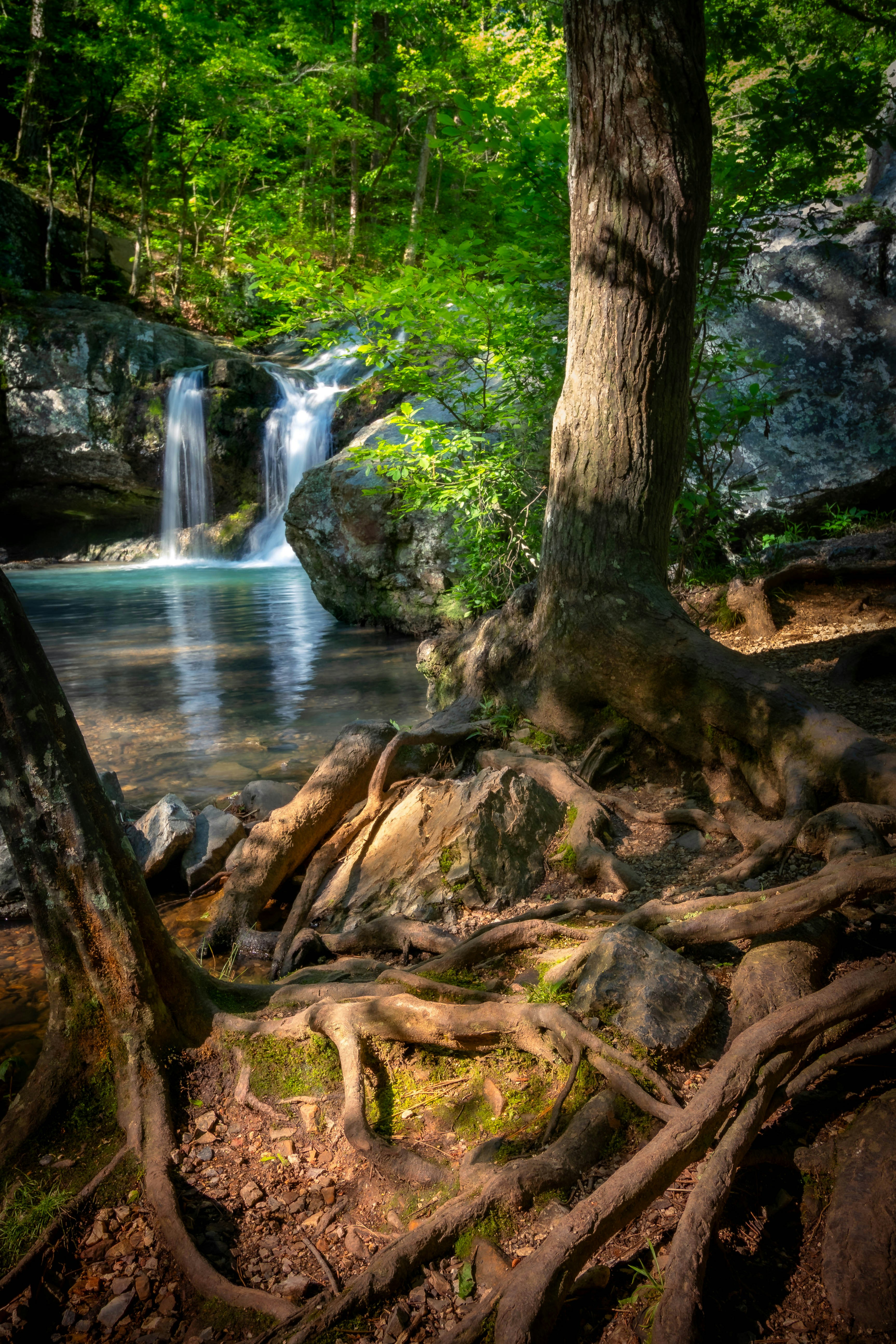 Photo by nathanwfoster