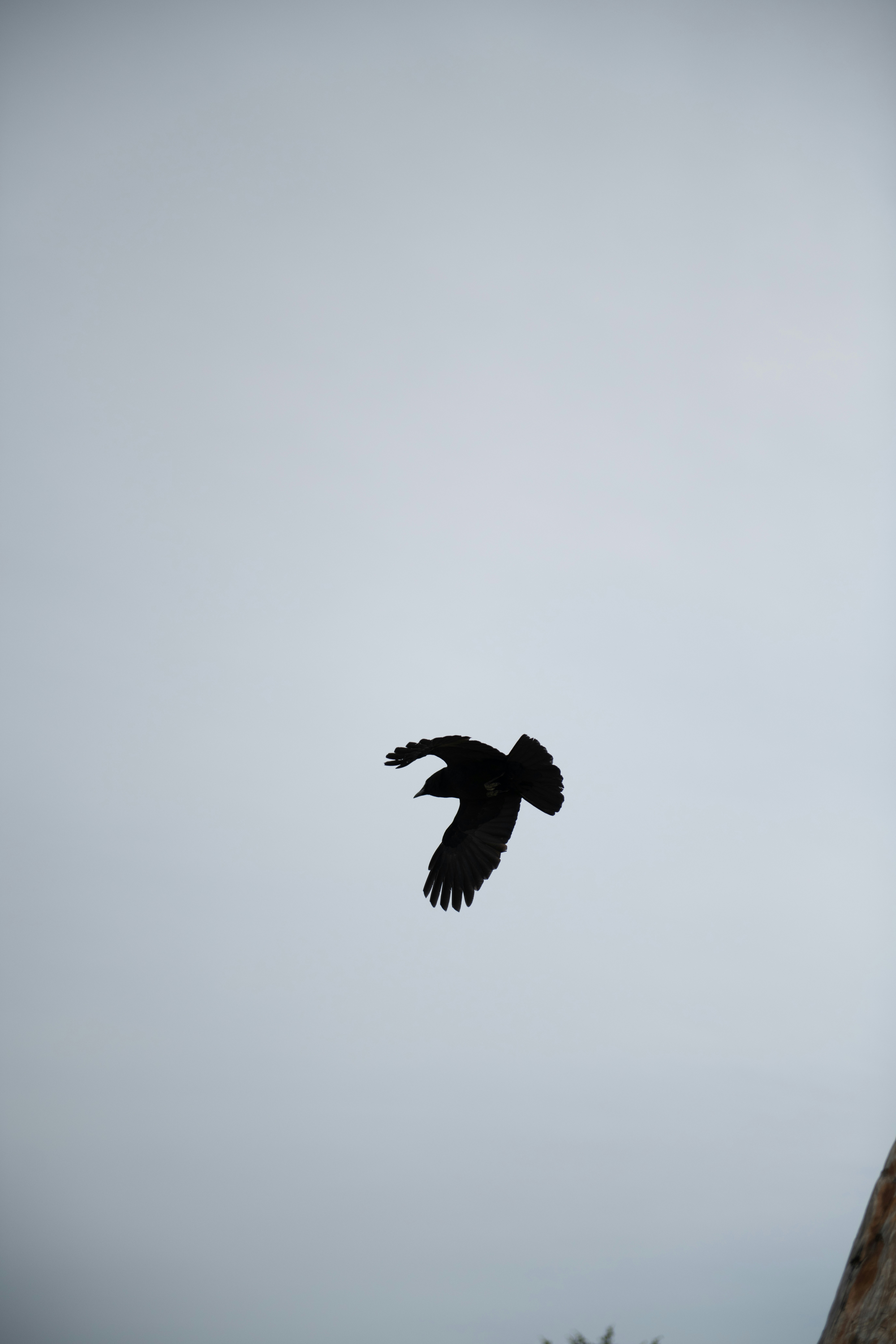 Photo by hlandkammer