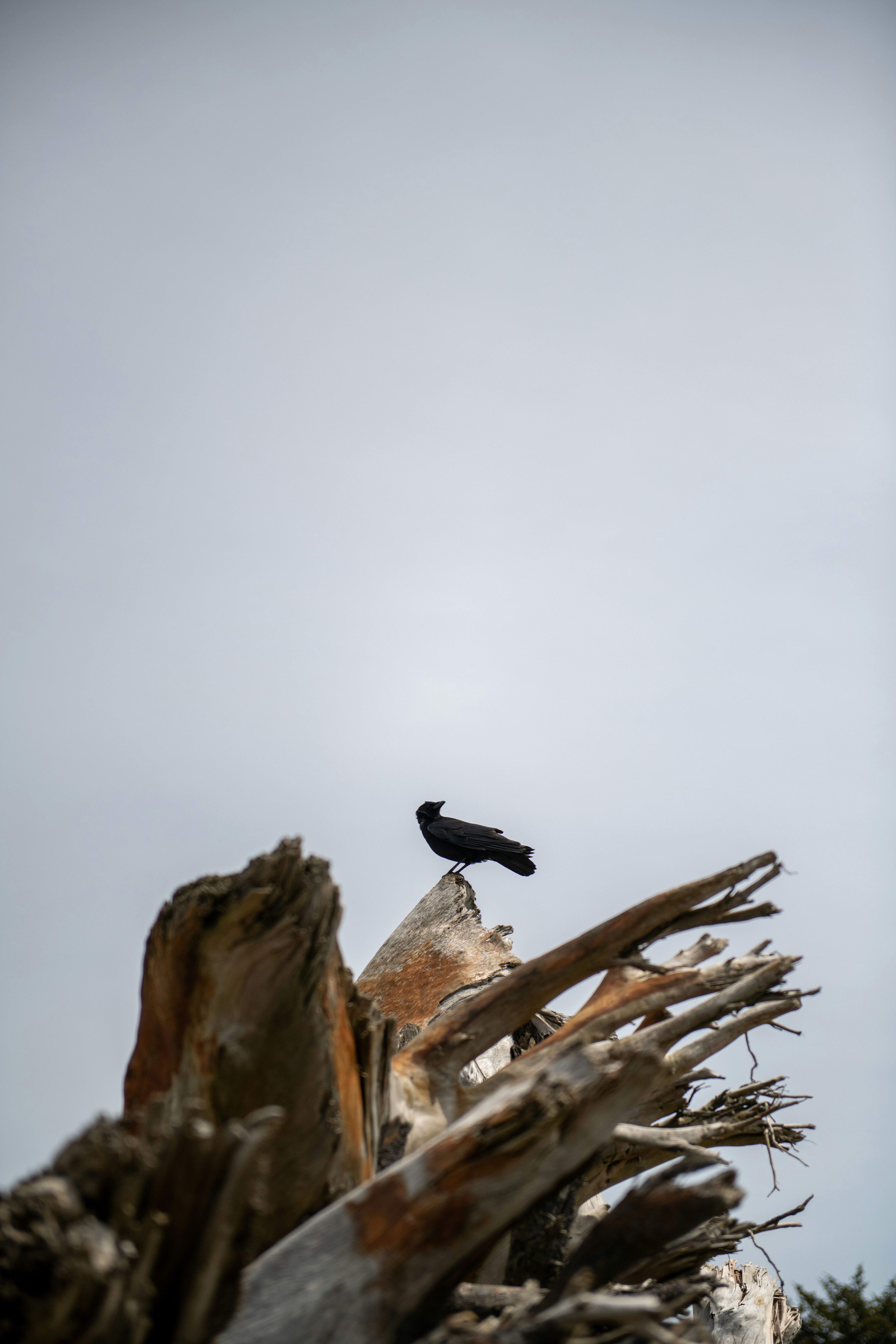 Photo by hlandkammer