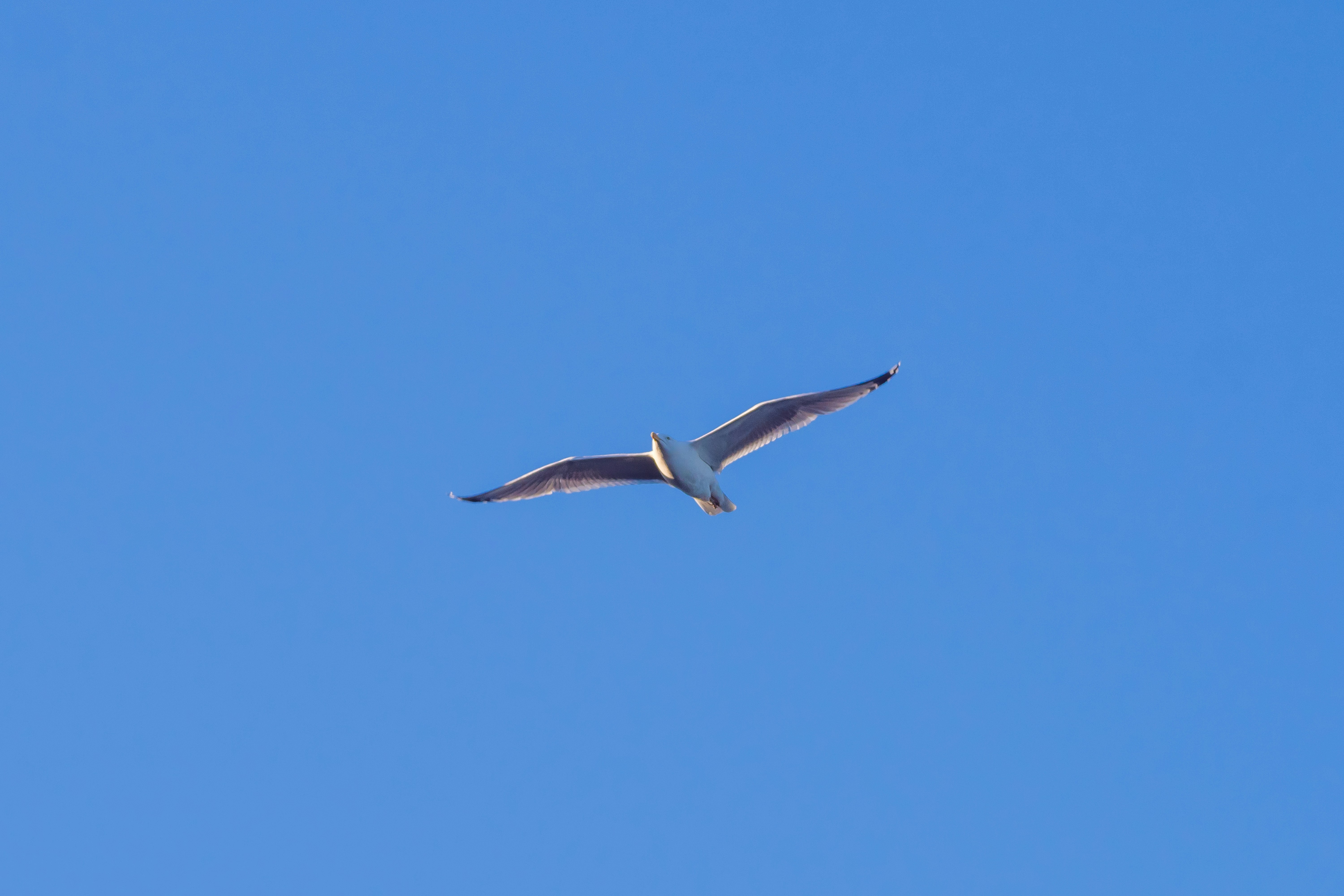 Photo by jastorfproductions