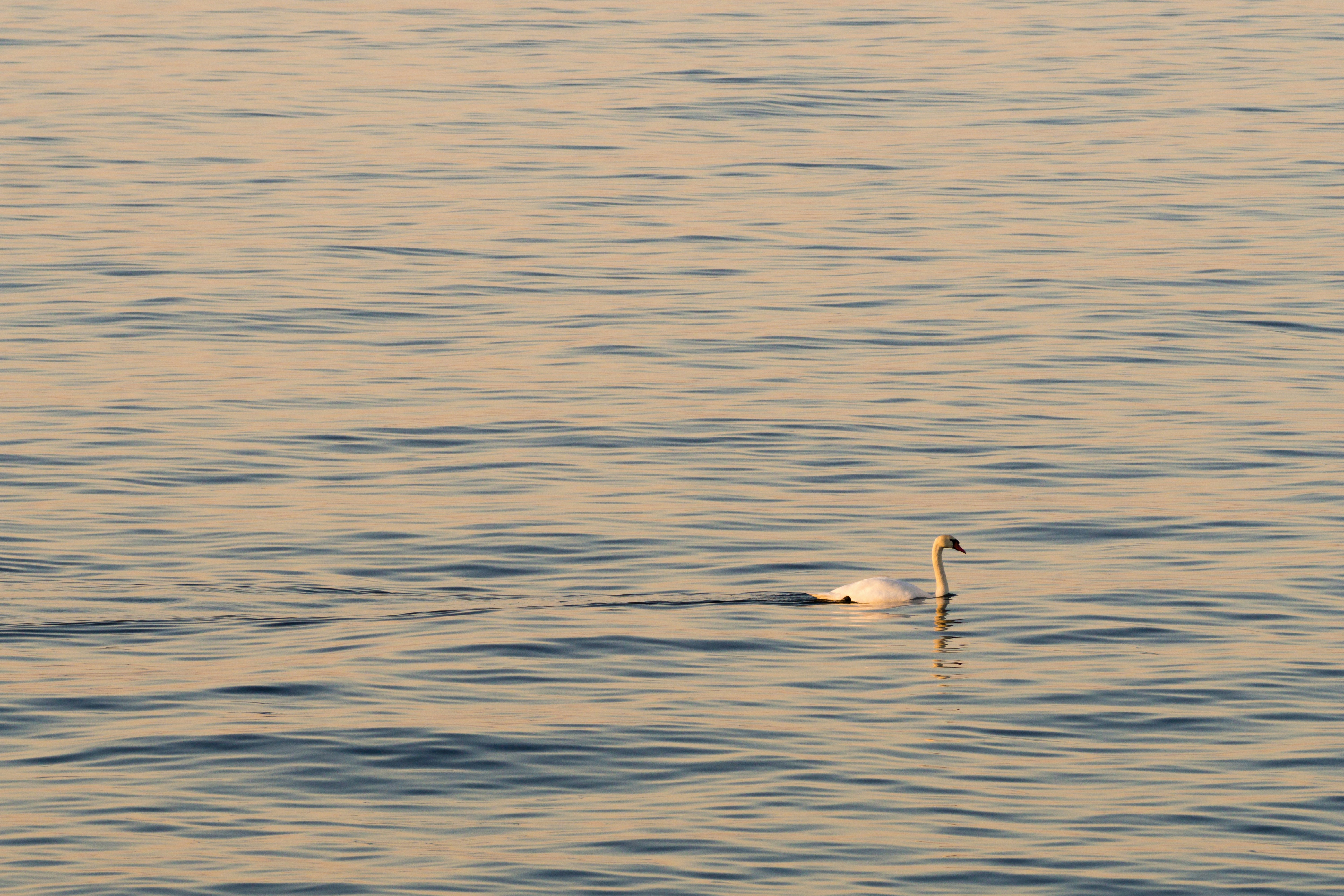 Photo by jastorfproductions