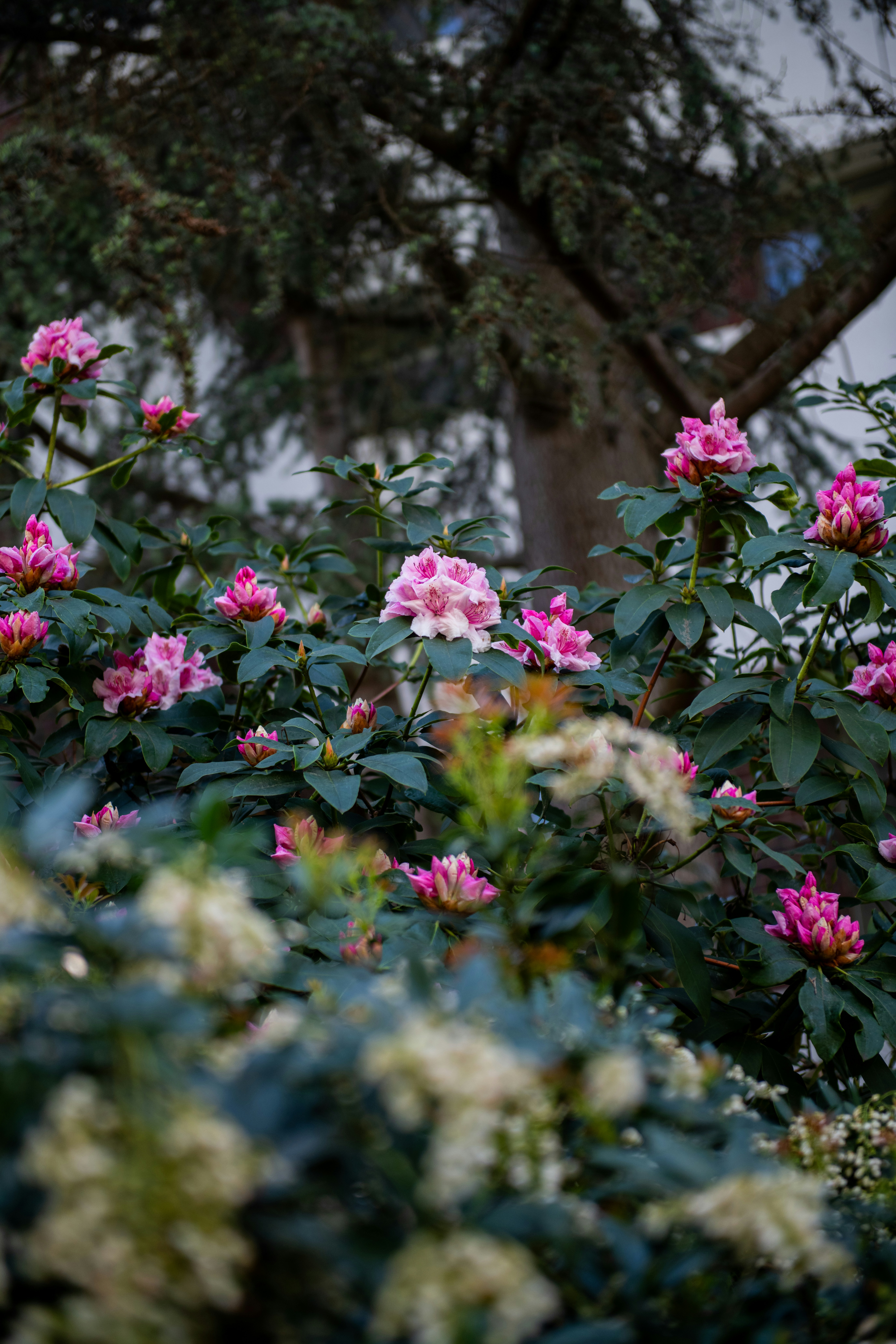 Photo by hlandkammer