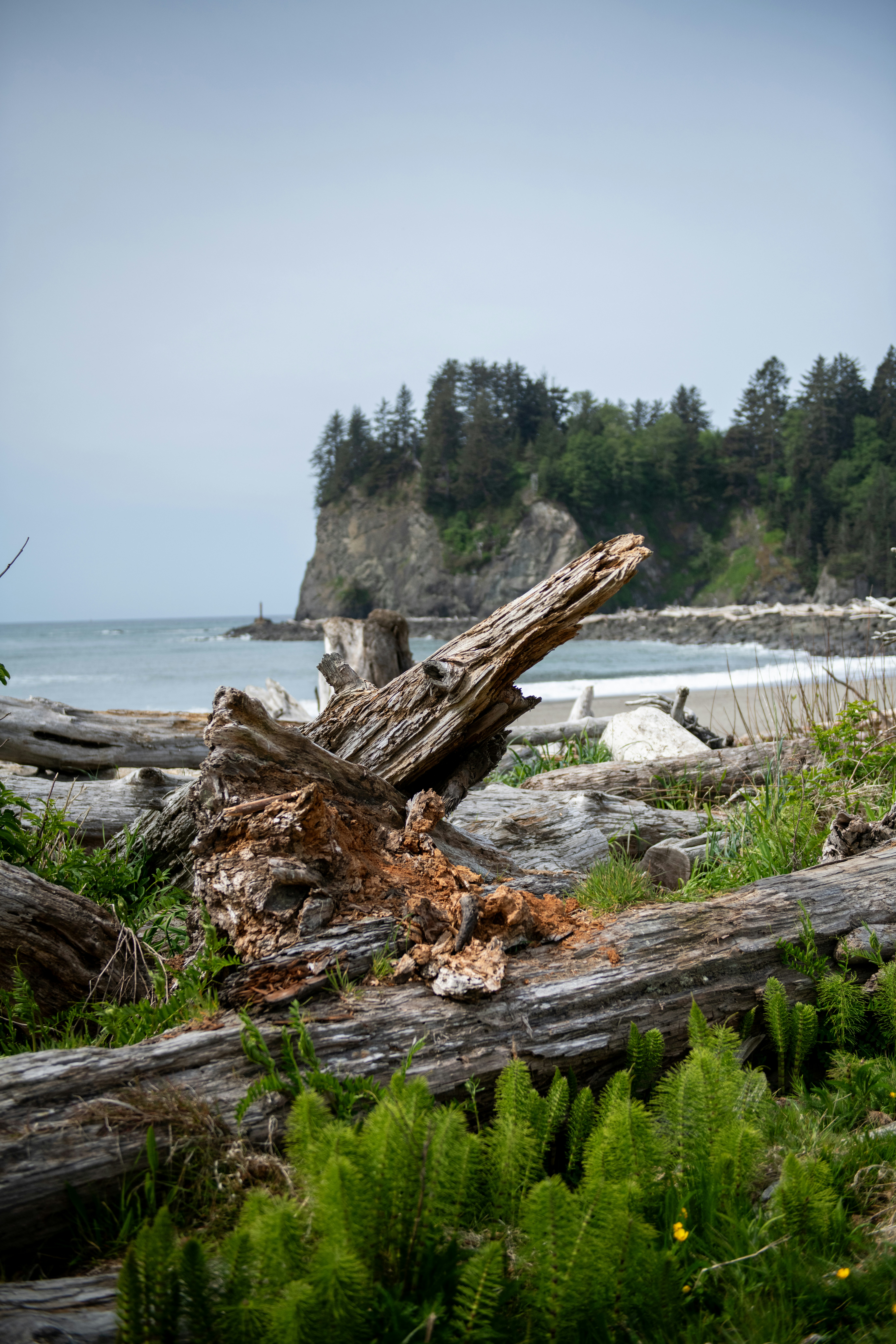 Photo by hlandkammer