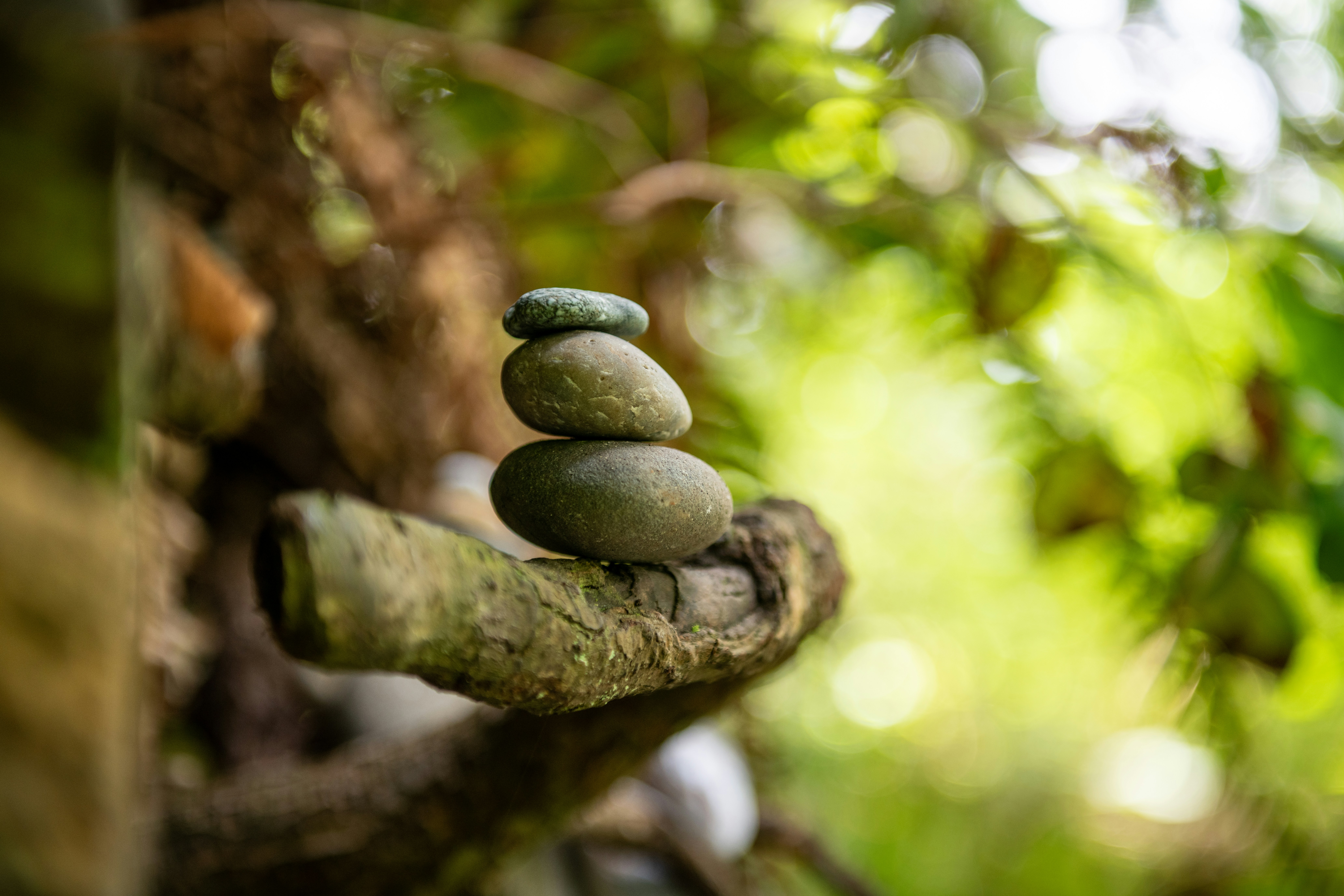 Photo by hlandkammer