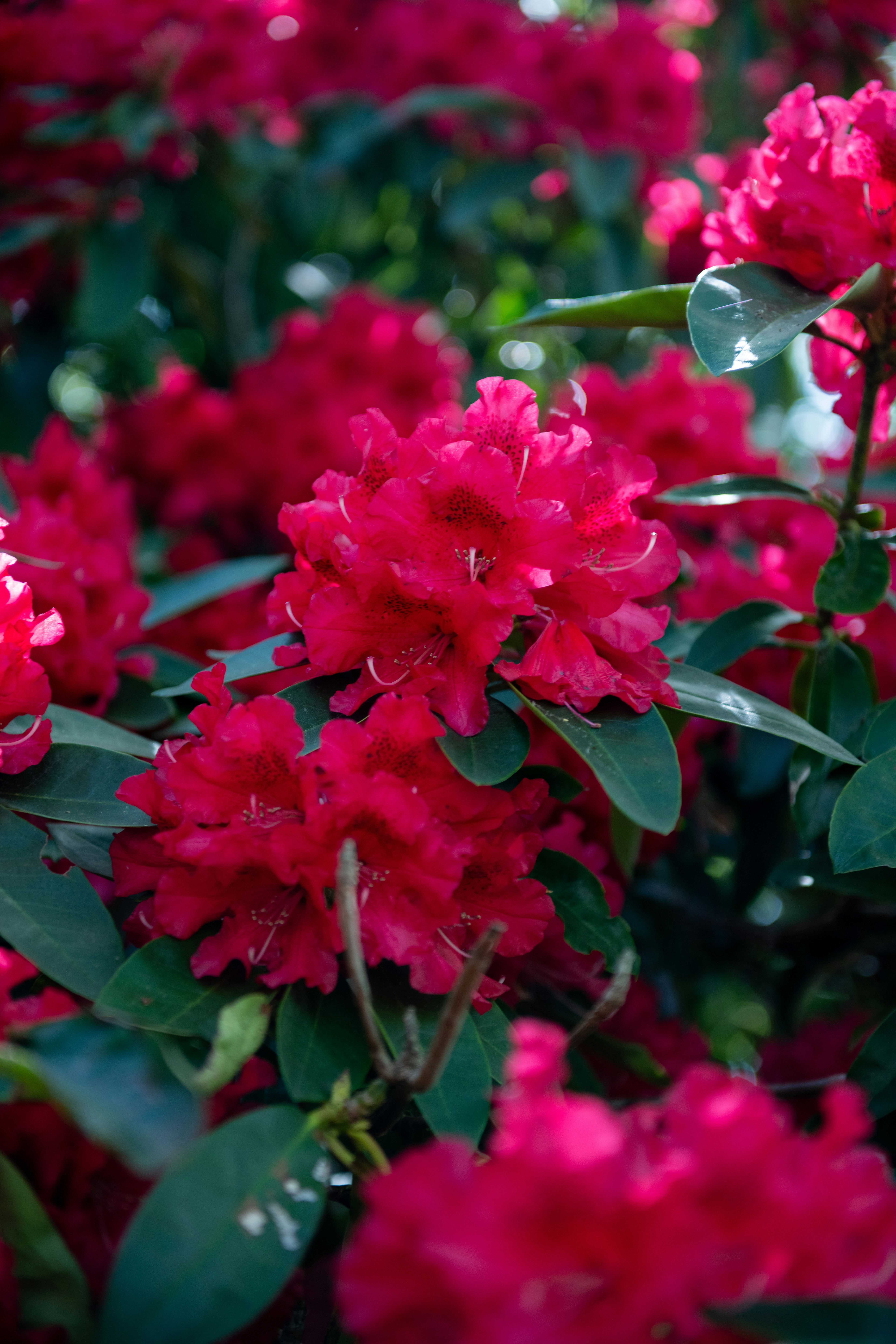 Photo by hlandkammer