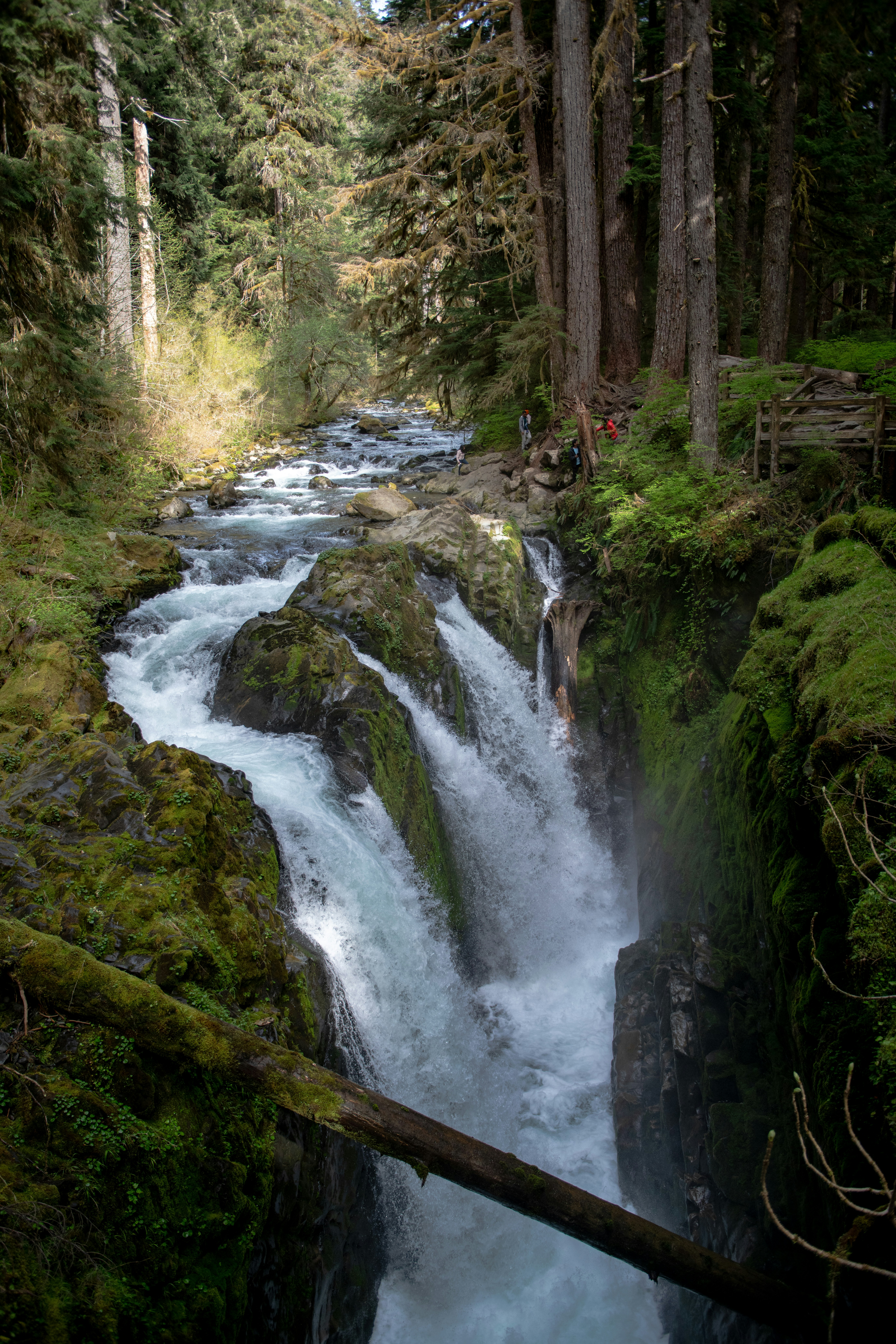 Photo by hlandkammer