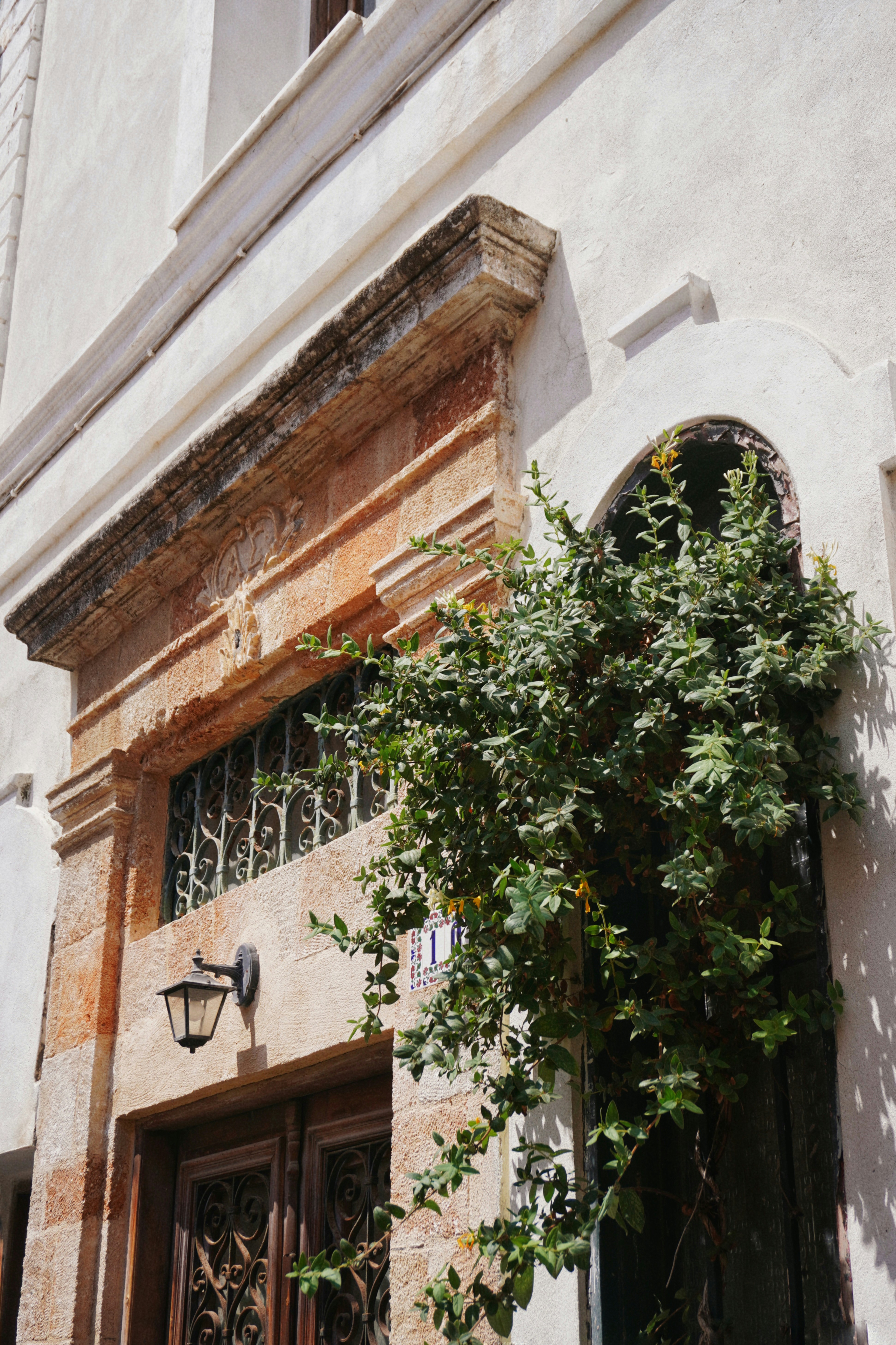 Photo by alettadnagy