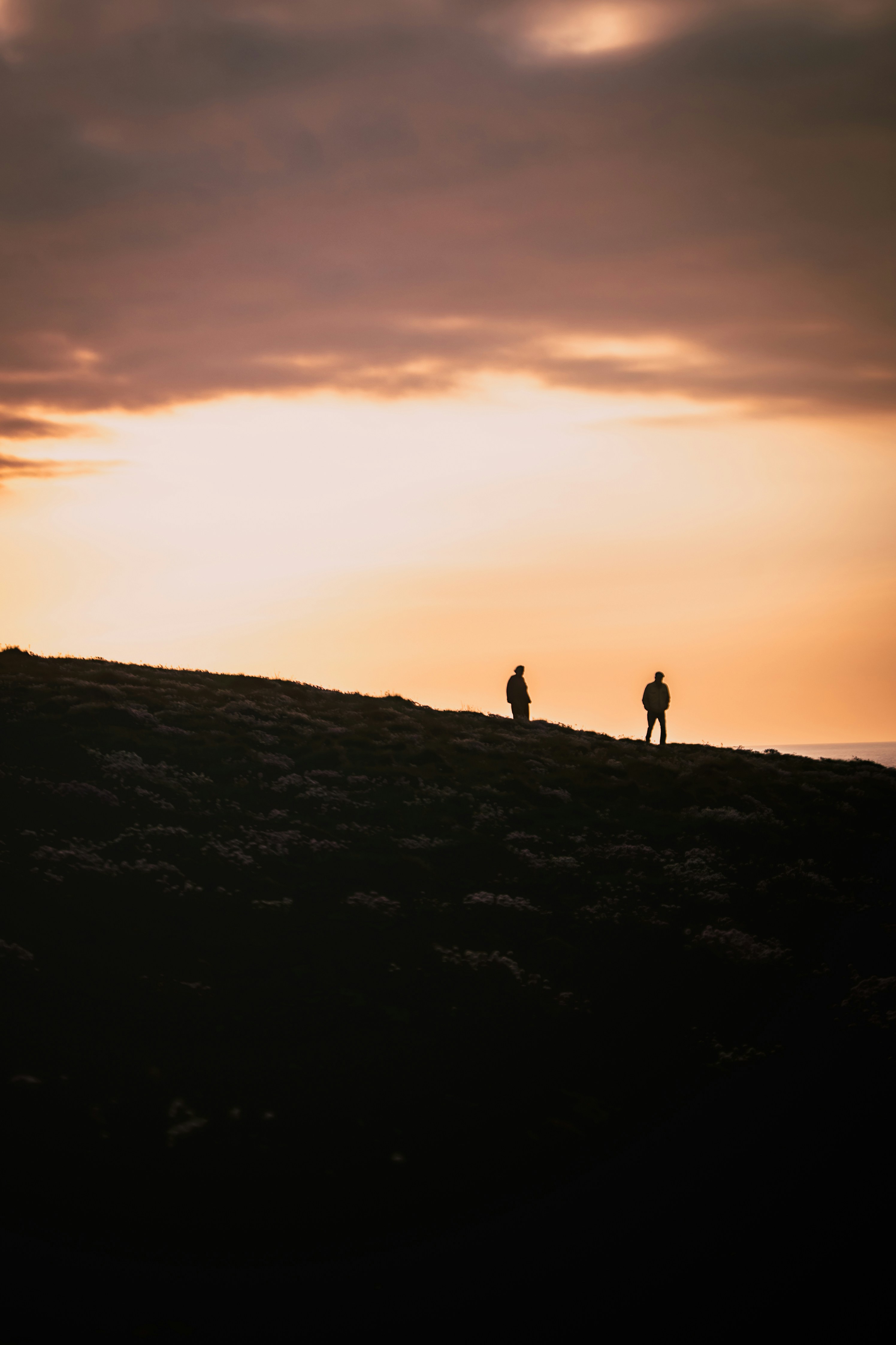 Two figures stand on a hill at sunset.