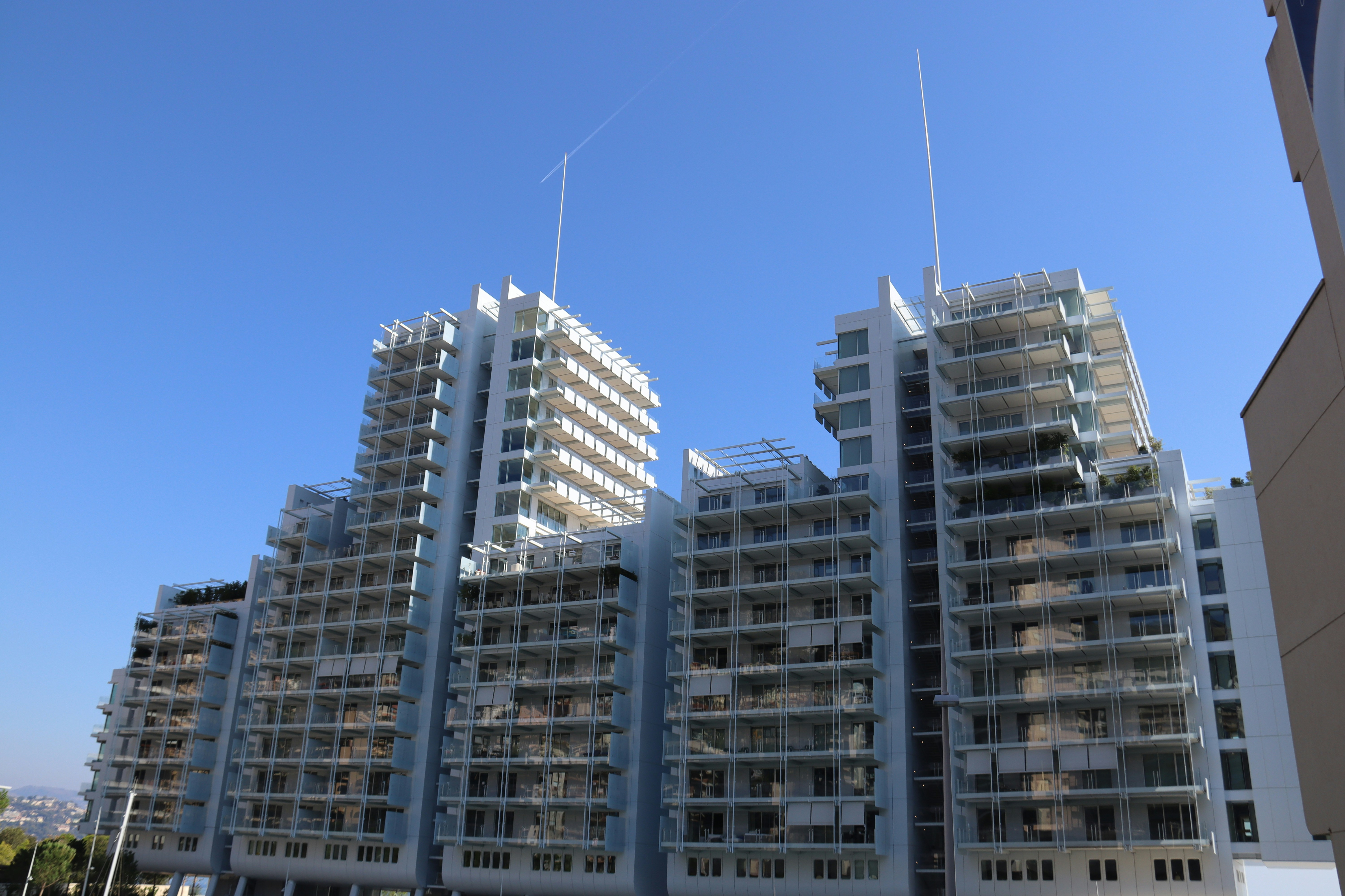 Photo by shalevcohen