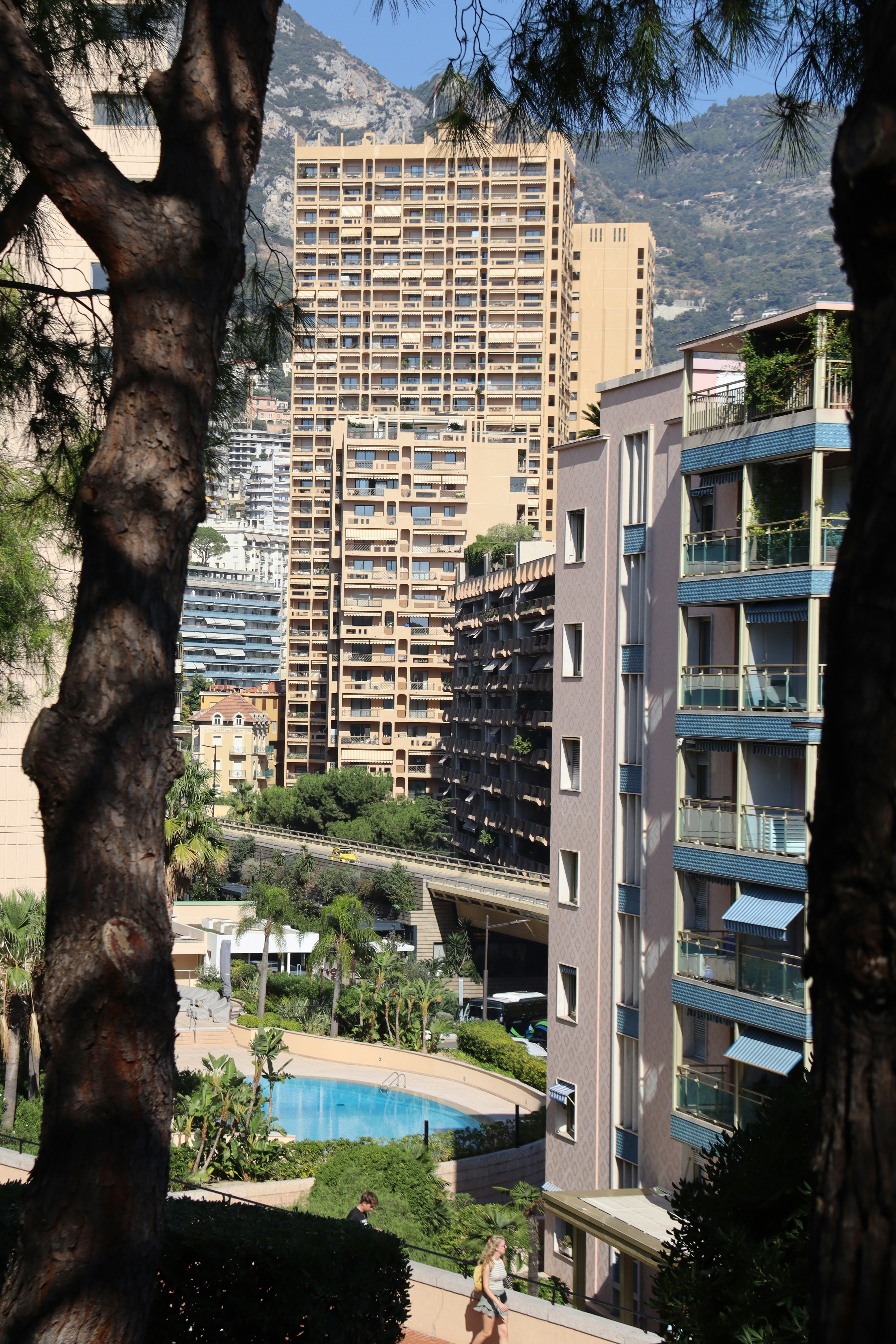 Tall buildings overlook a swimming pool and trees.