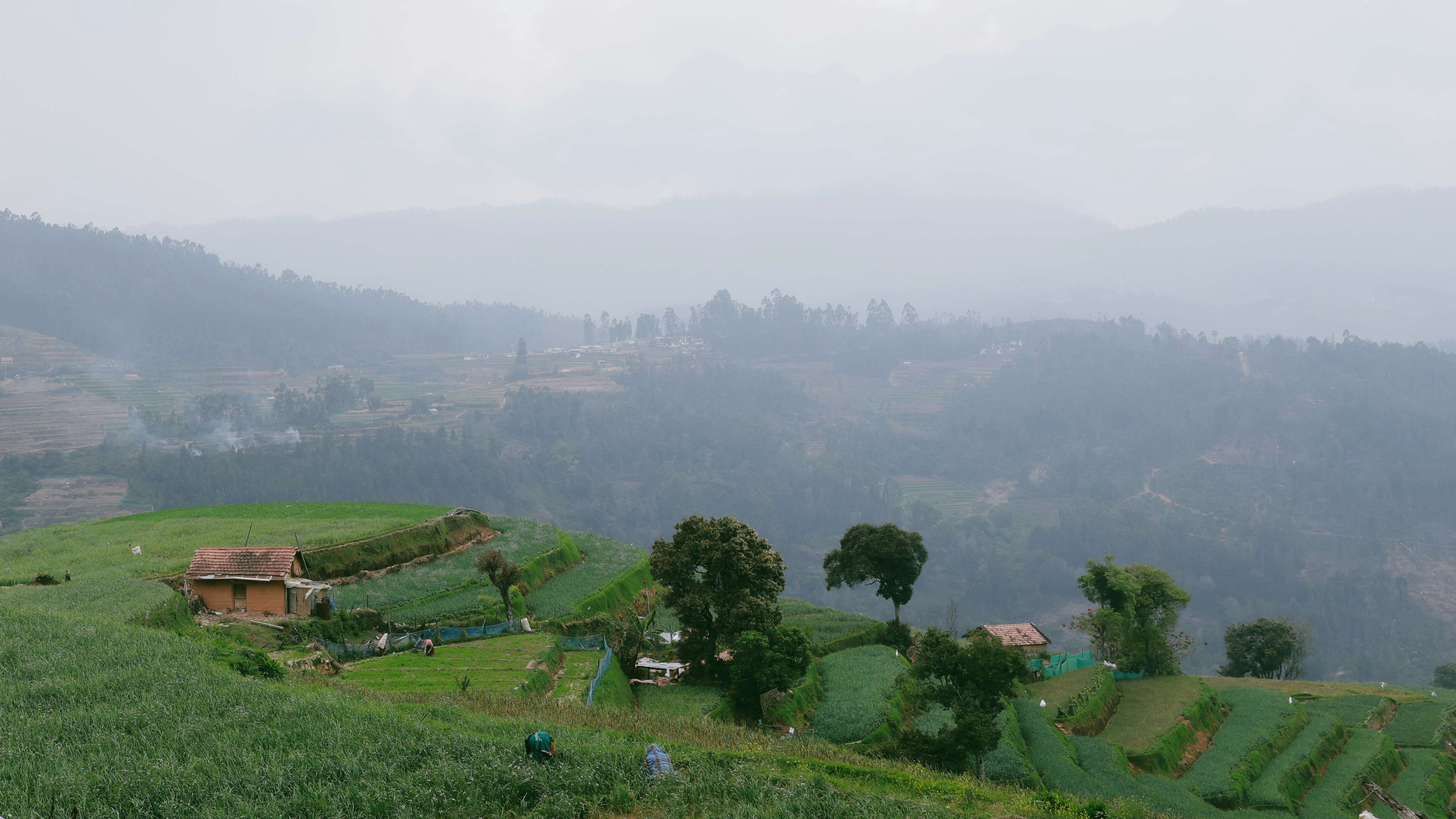 Photo by jishnunarayan0211