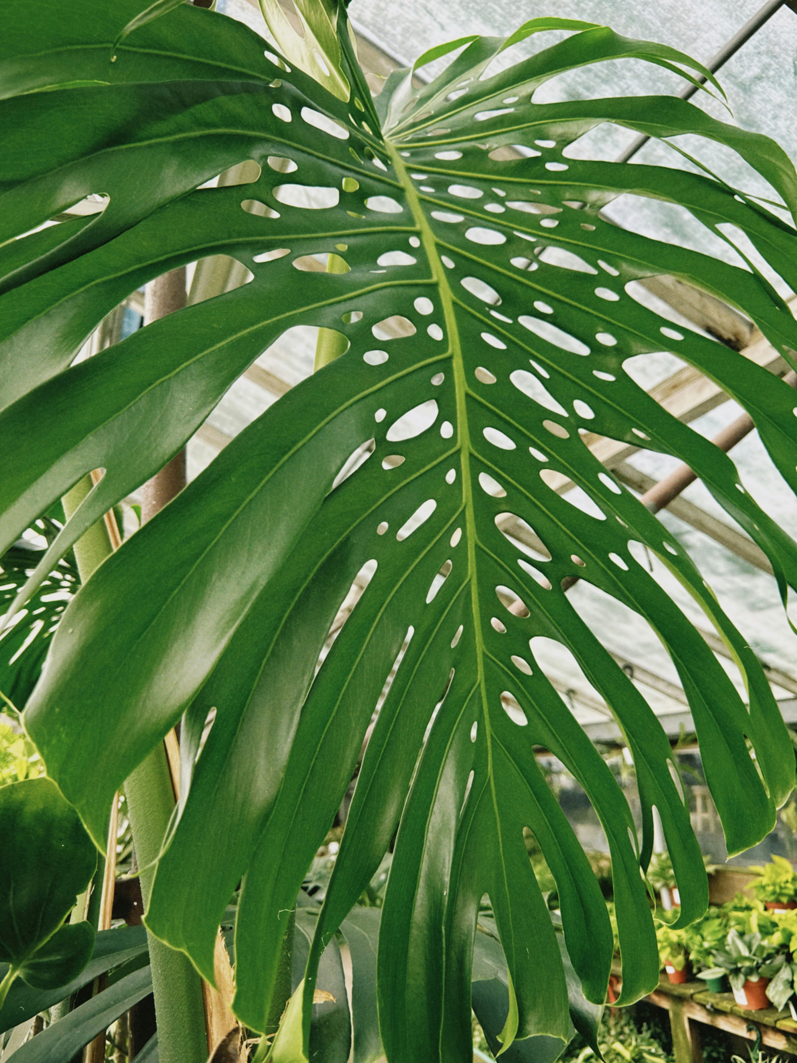 Photo by christopherstites