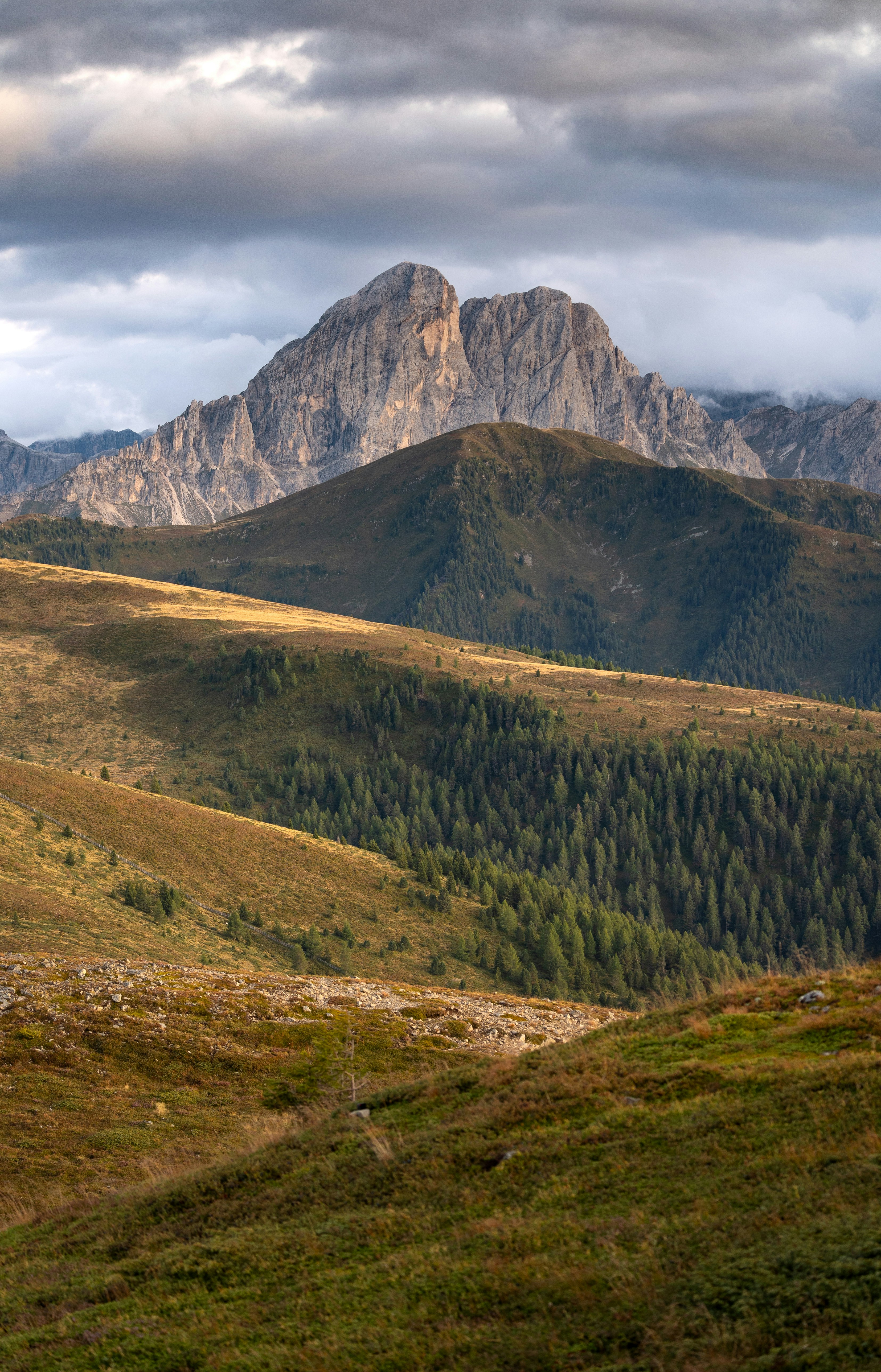 Photo by marekpiwnicki