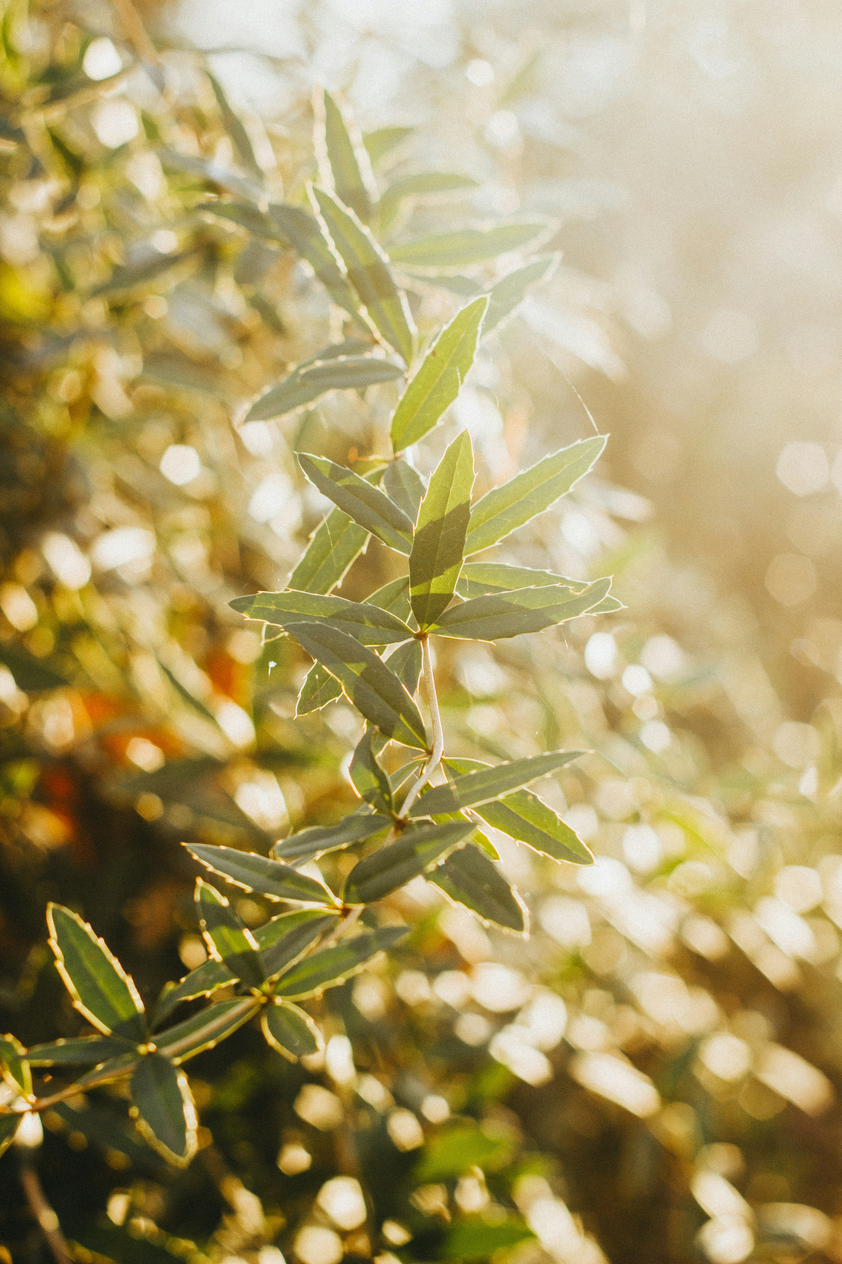 Photo by iamfrancismorgan