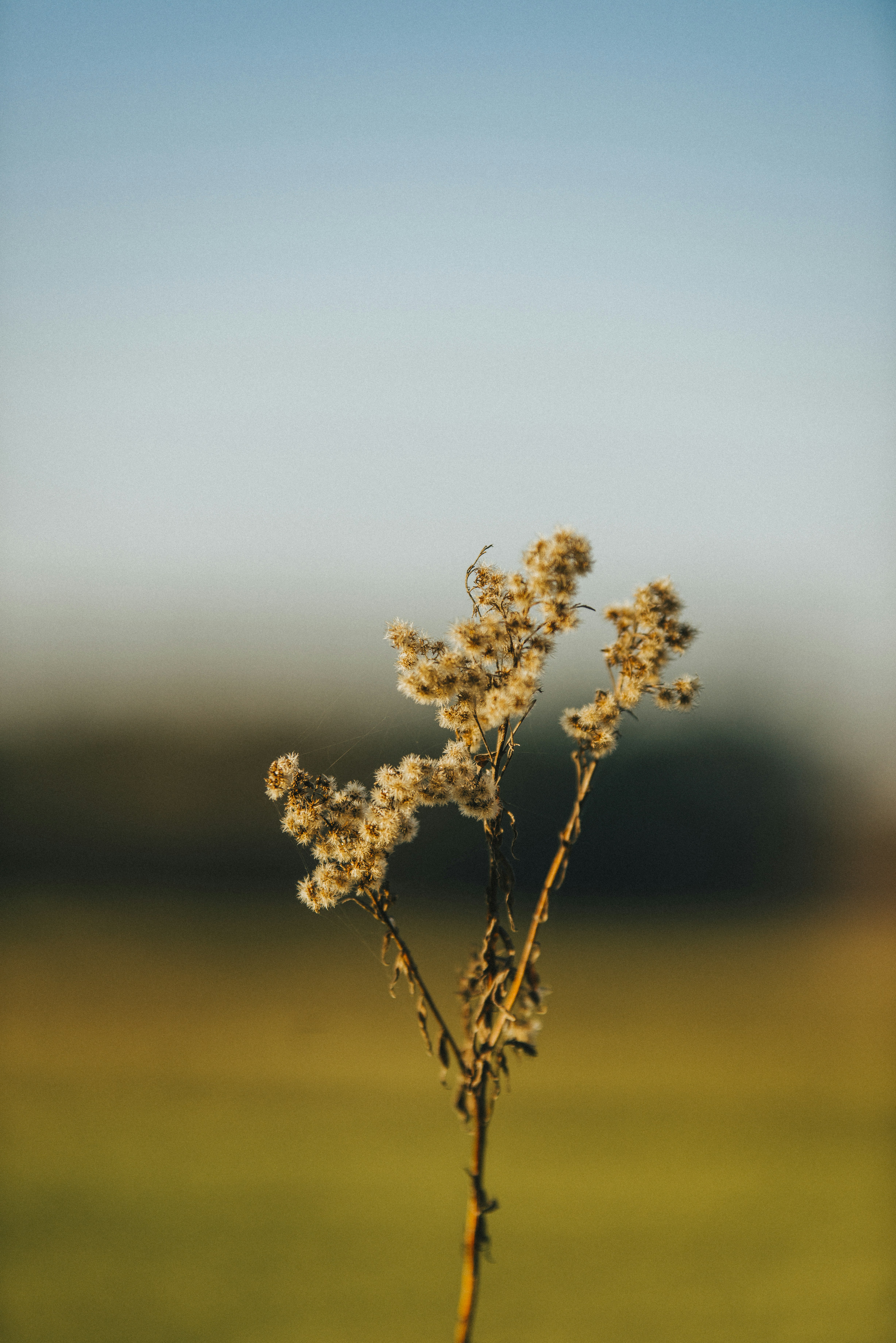 Photo by iamfrancismorgan