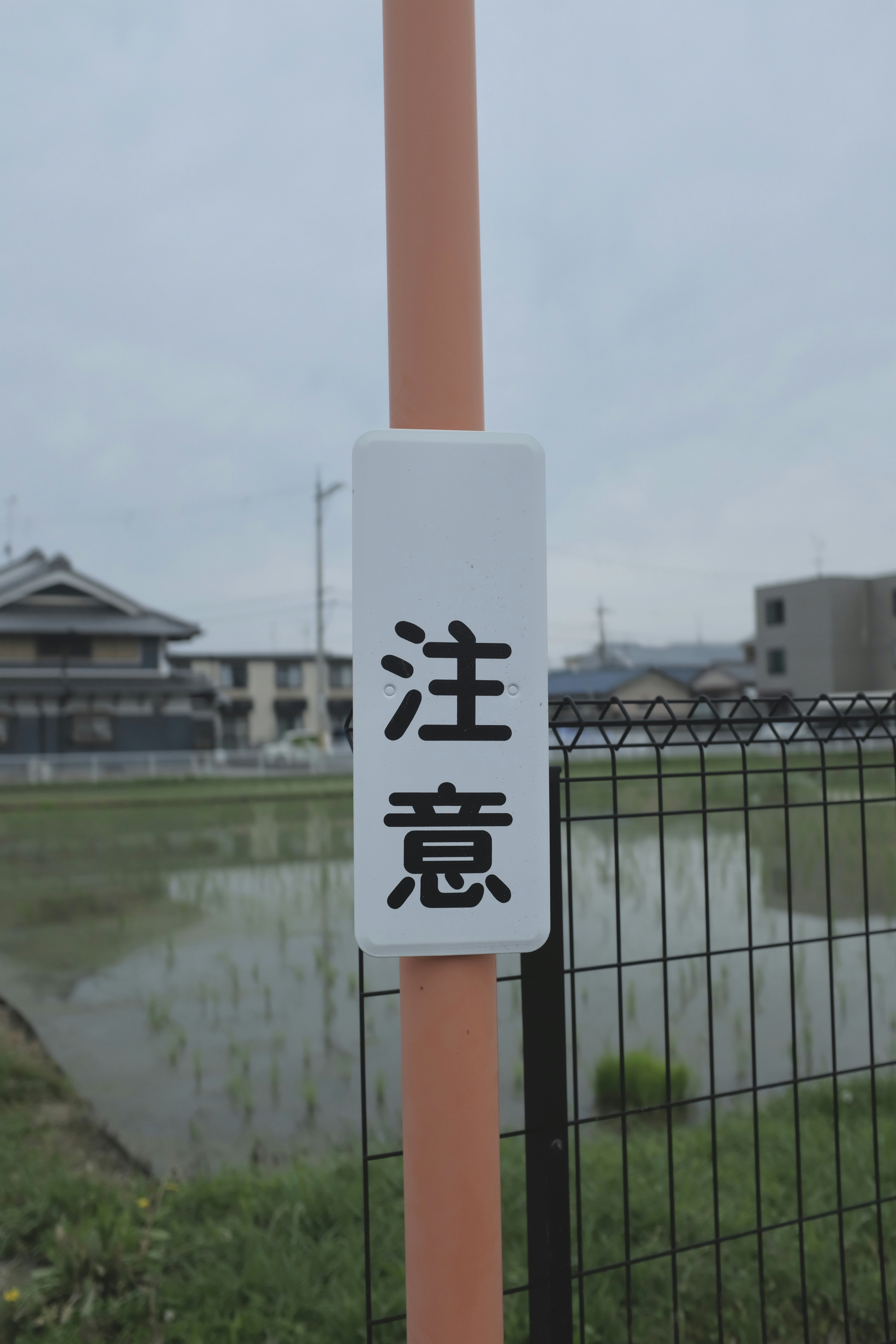 Photo by kennyzhang29