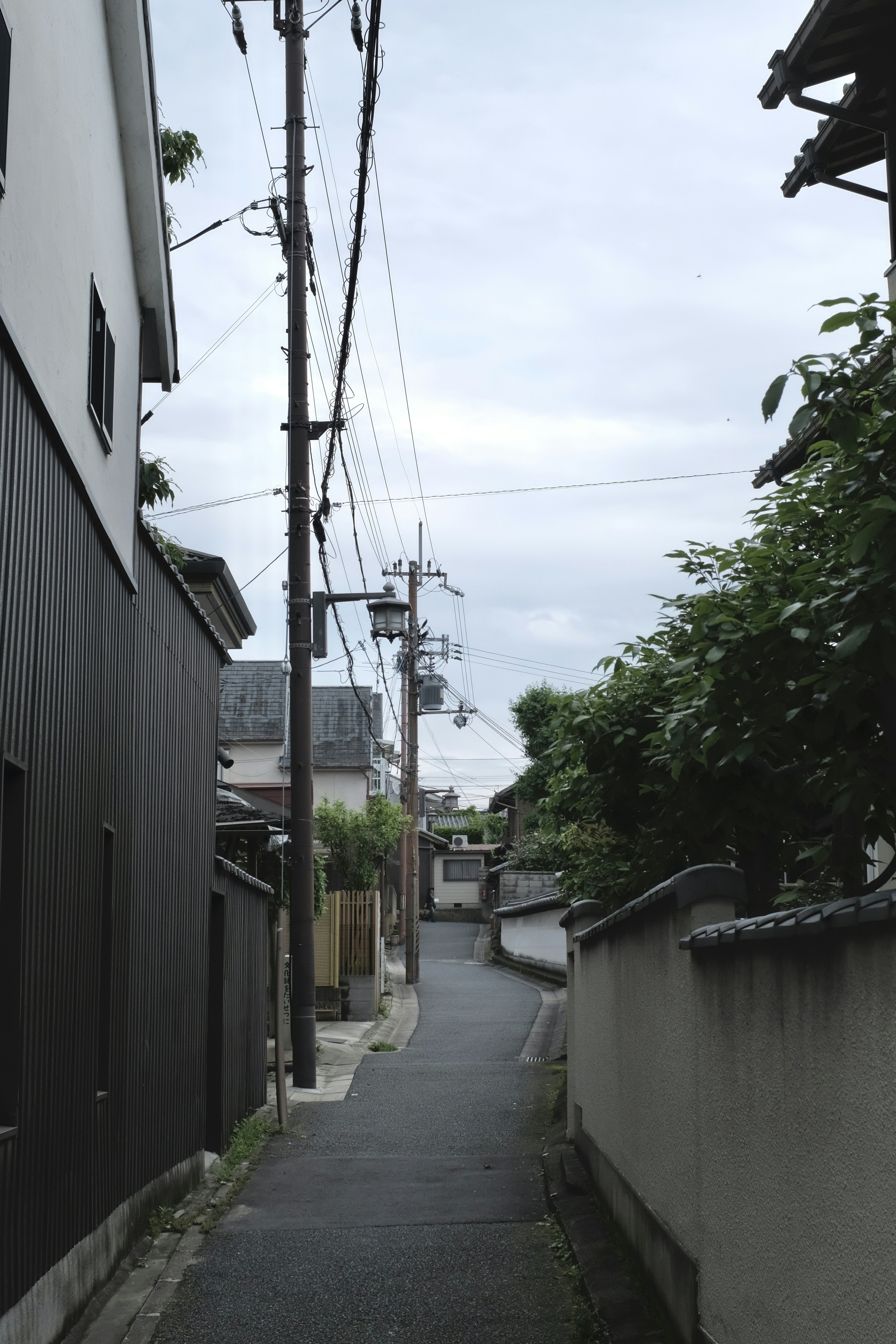 Photo by kennyzhang29