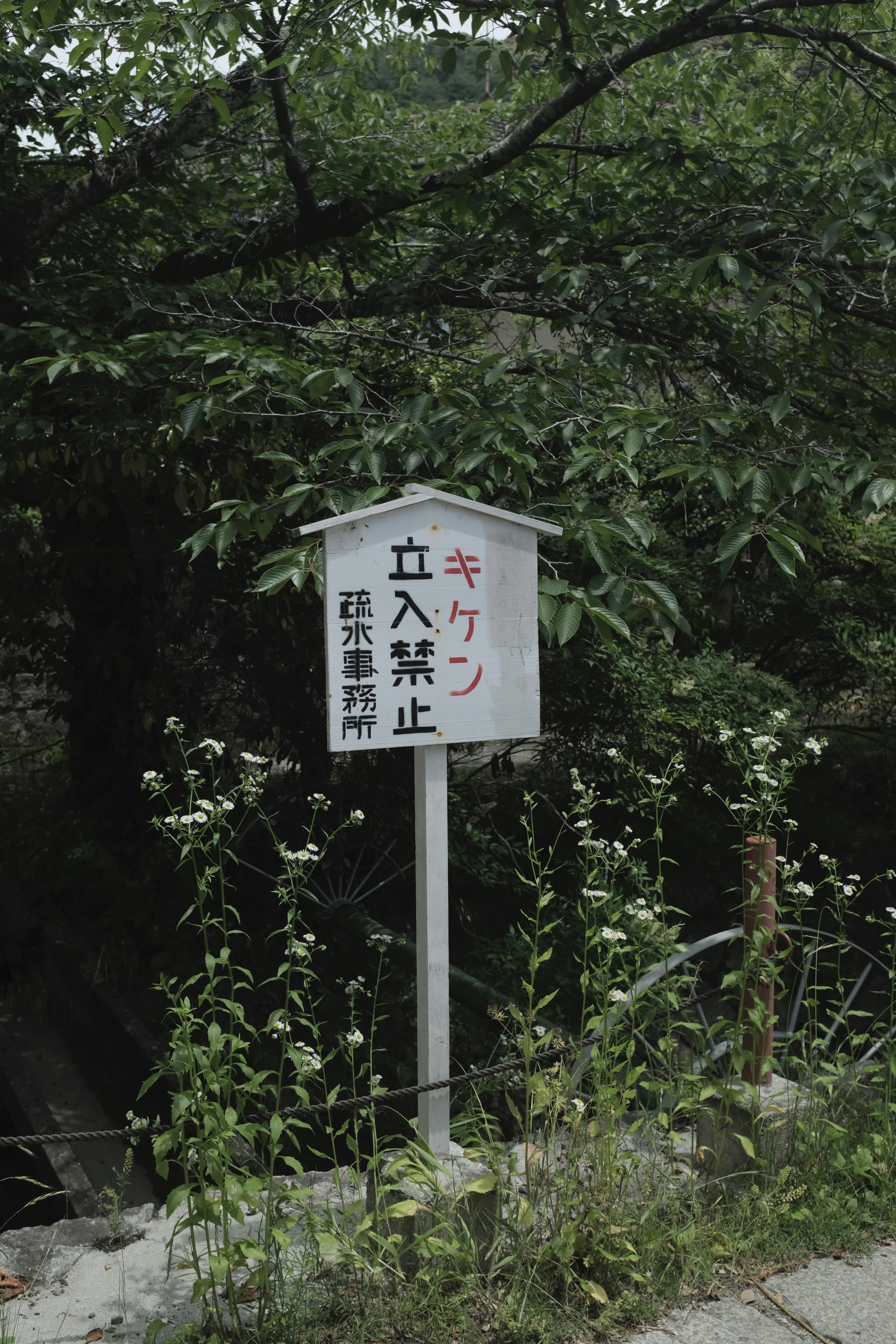 Photo by kennyzhang29