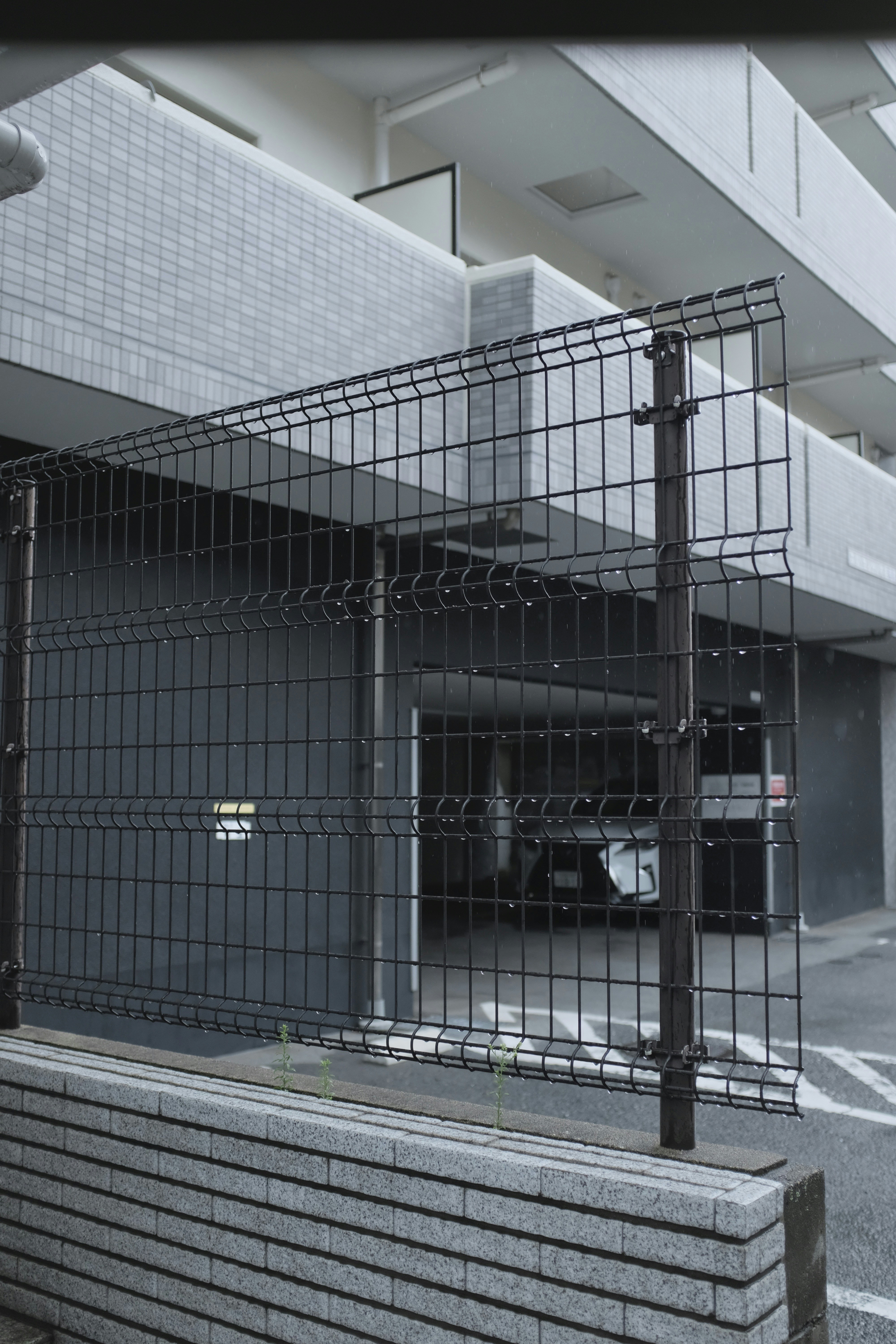 Photo by kennyzhang29