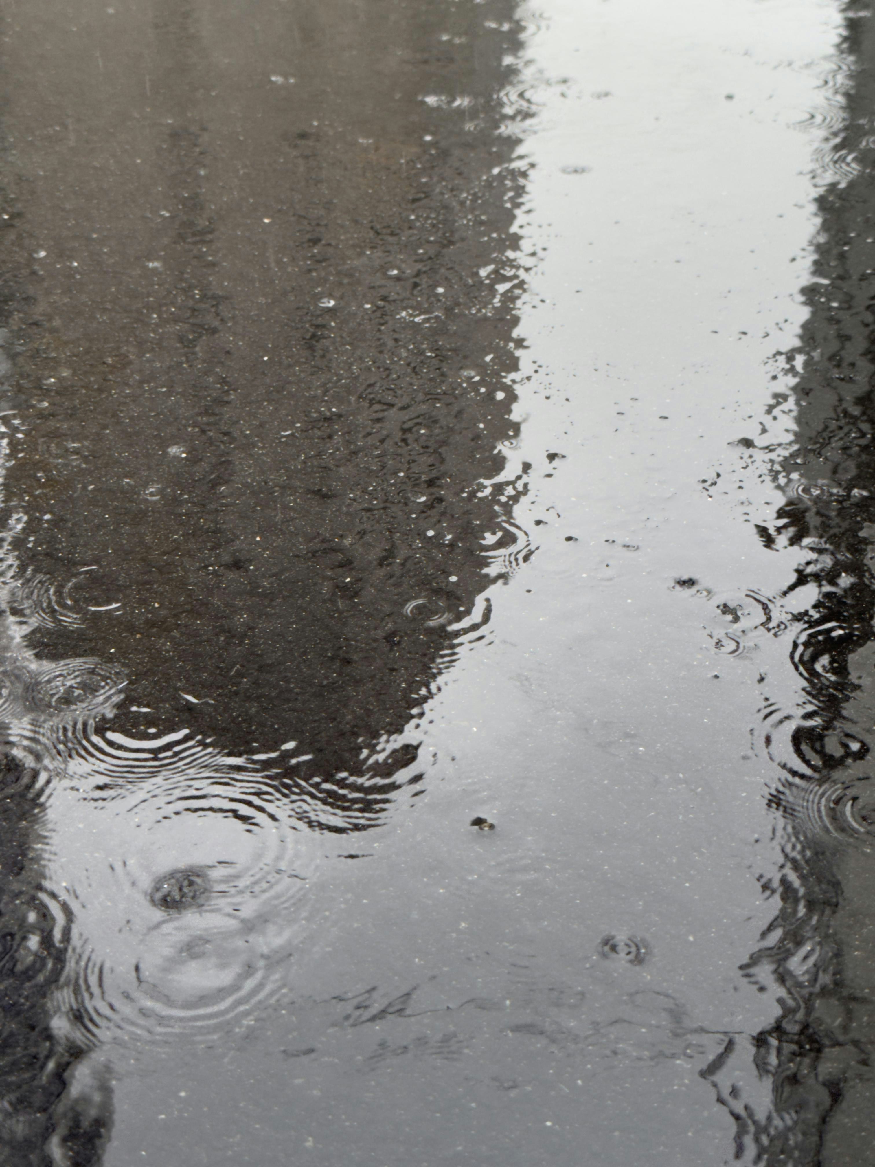 Photo by kennyzhang29