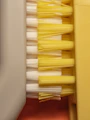 Close-up of yellow and white toothbrush bristles
