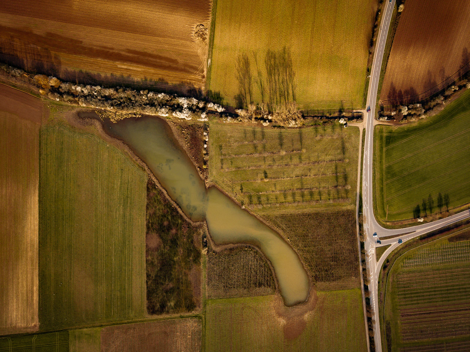 Aerial view of a developed agricultural project