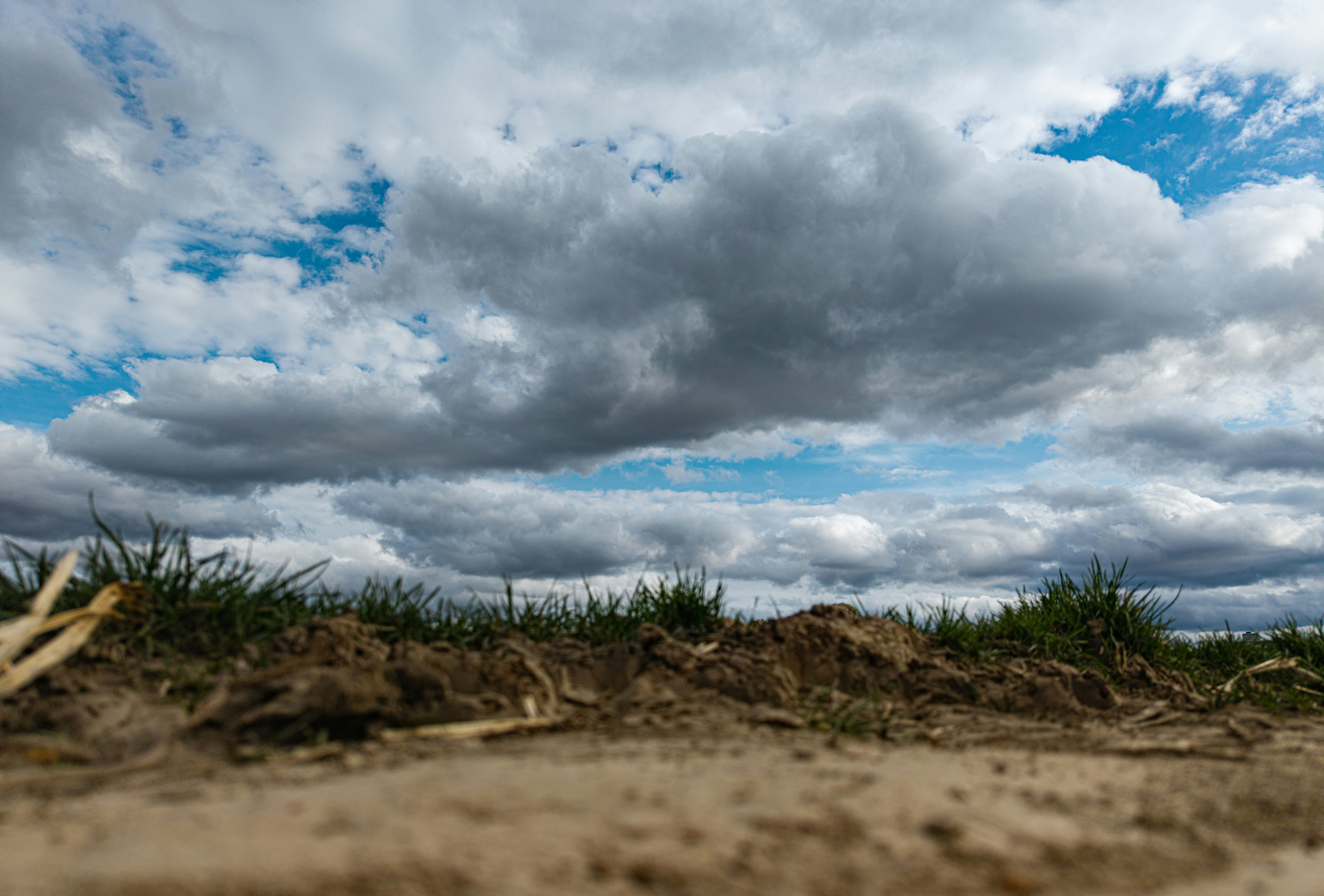 Sandy ground with grass under a cloudy sky