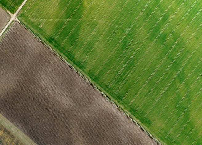 Aerial view of green and brown agricultural fields