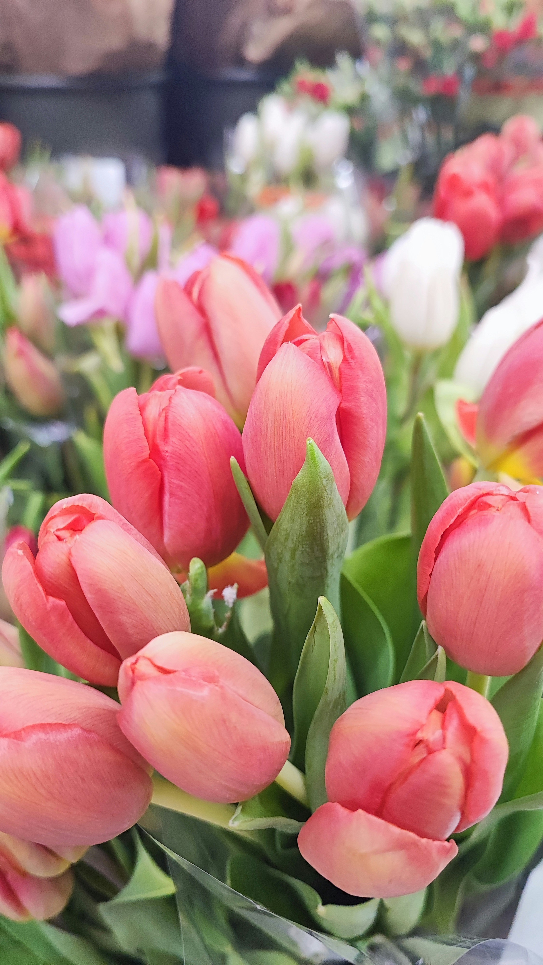 Photo by kristina001