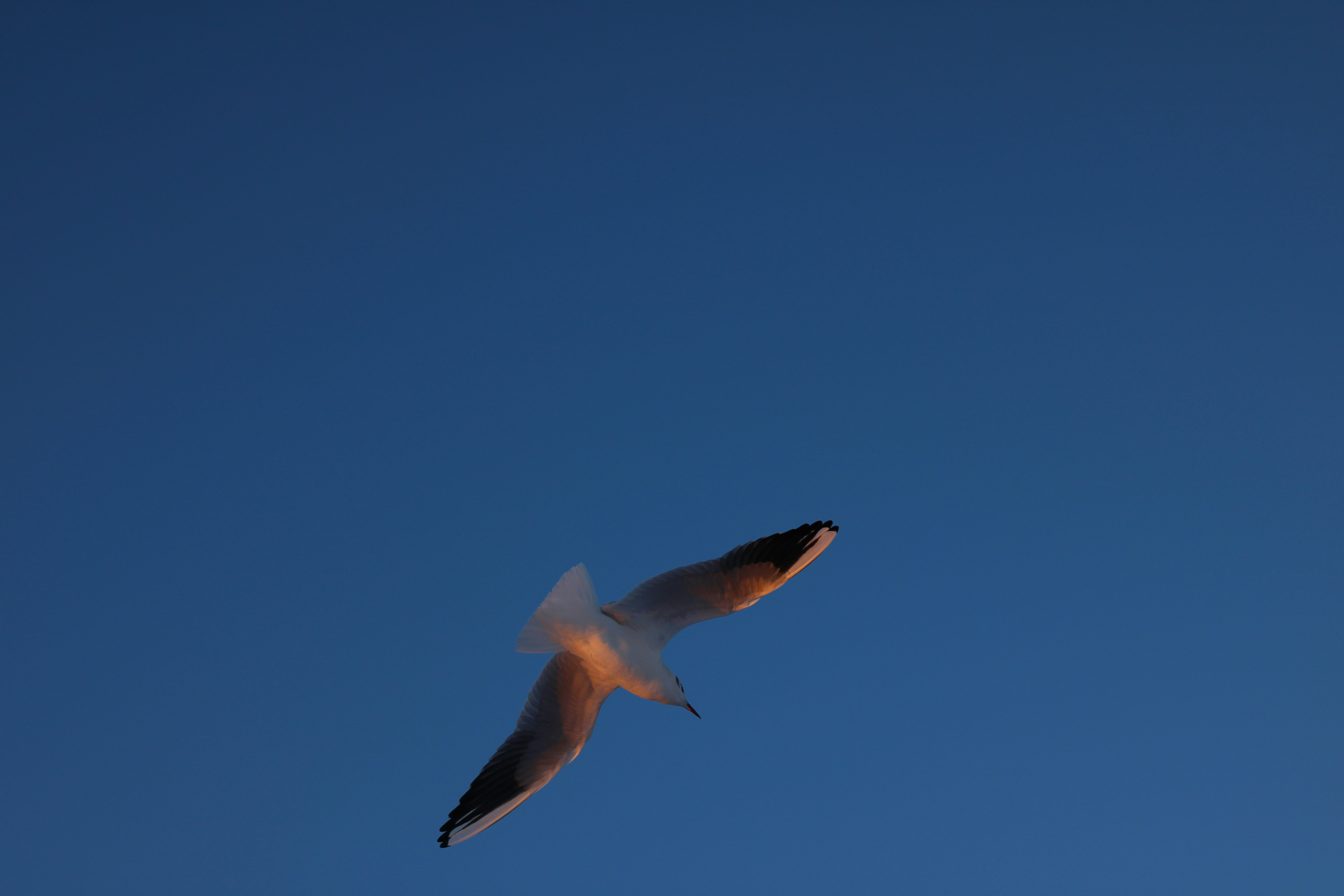 Photo by enamoradaaa