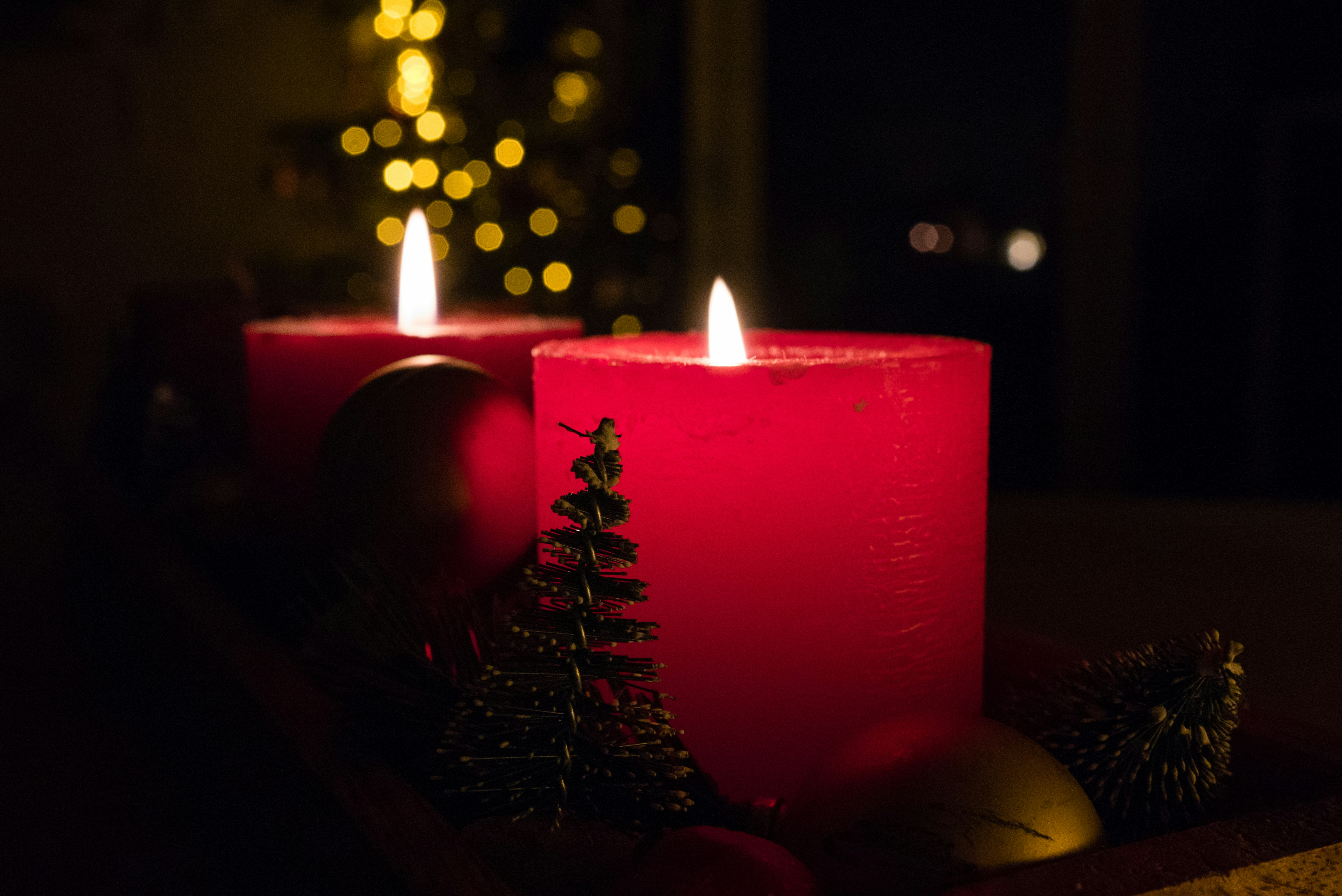 Photo by jastorfproductions