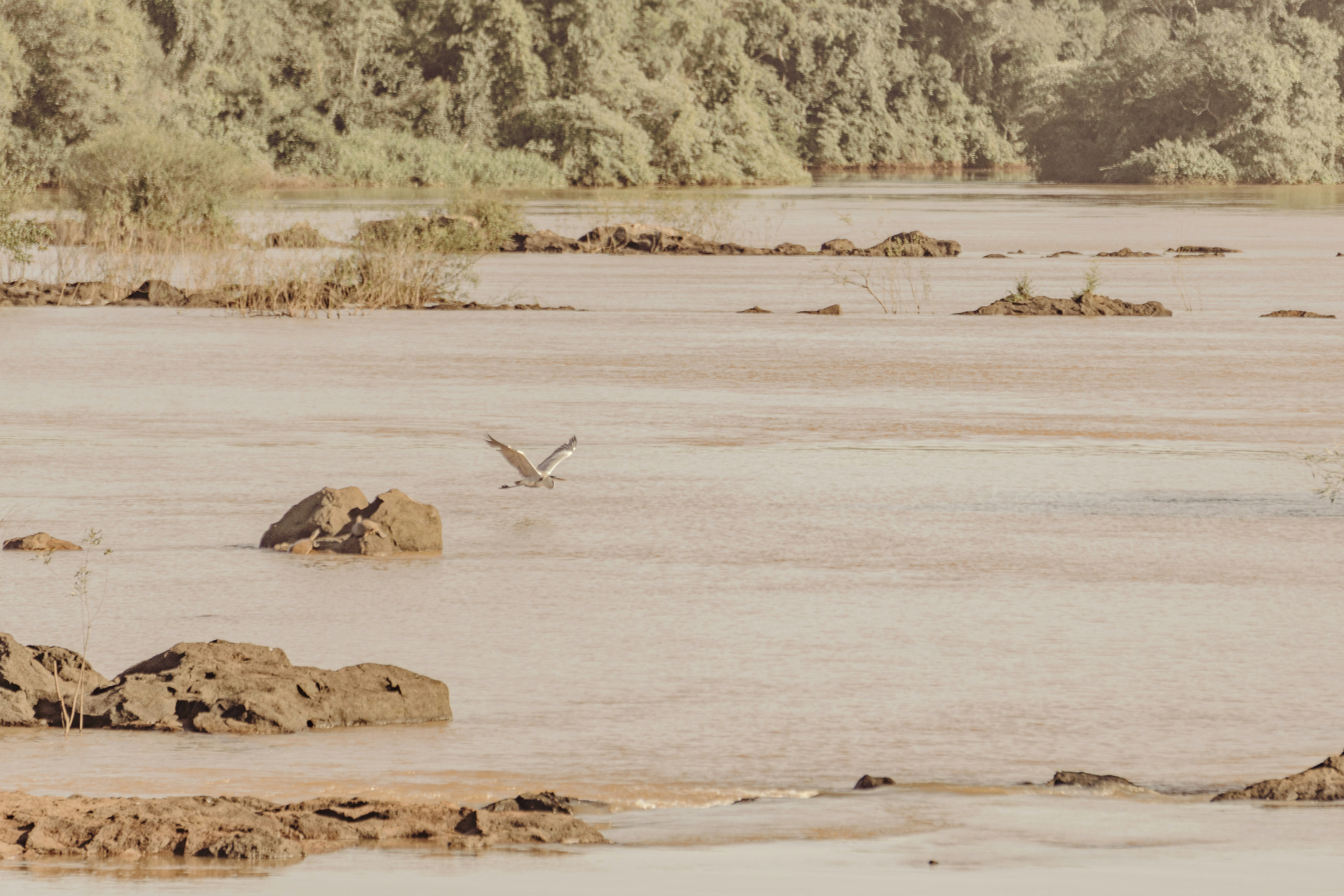 Photo by whereiskylenow