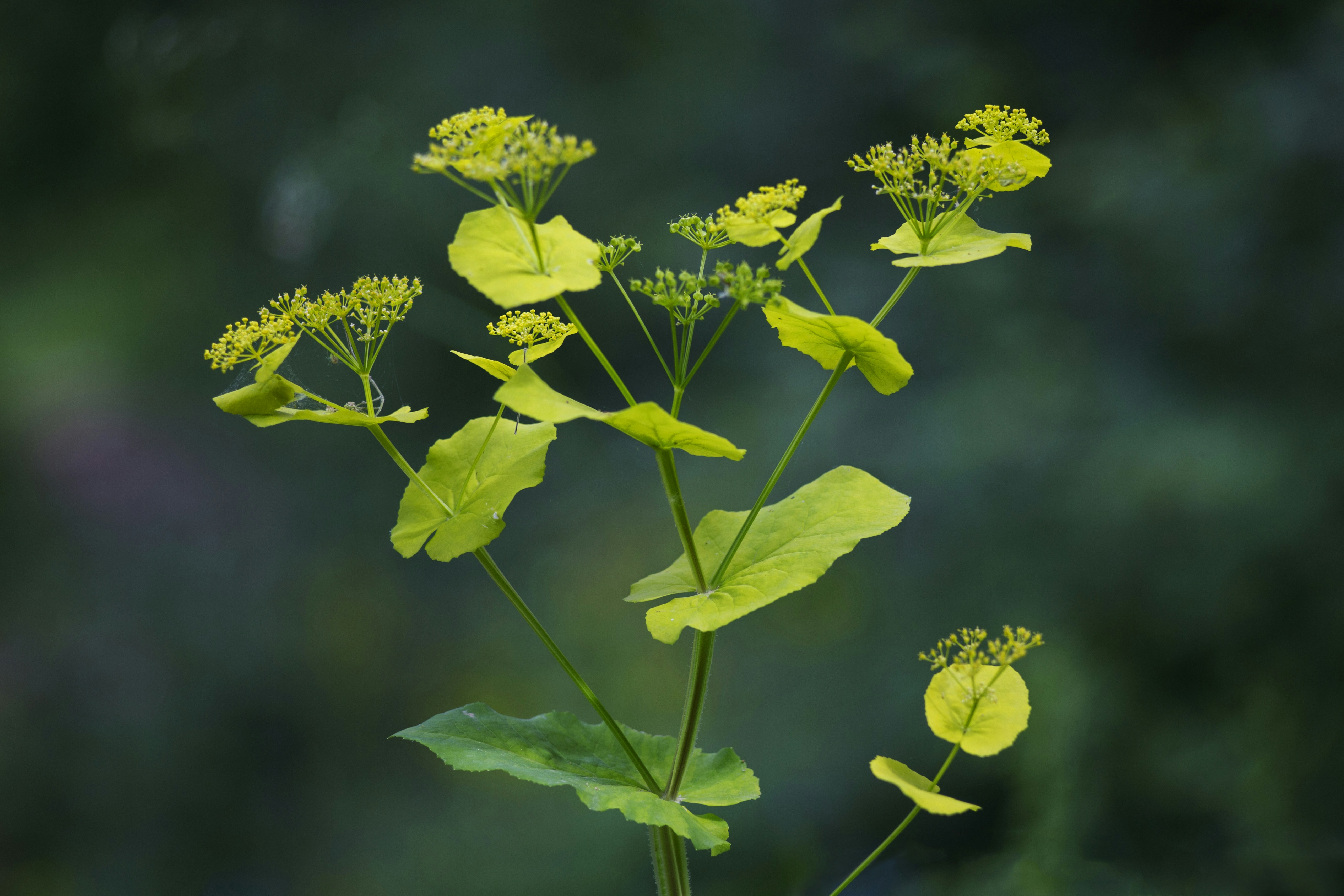 Photo by miloslopusina