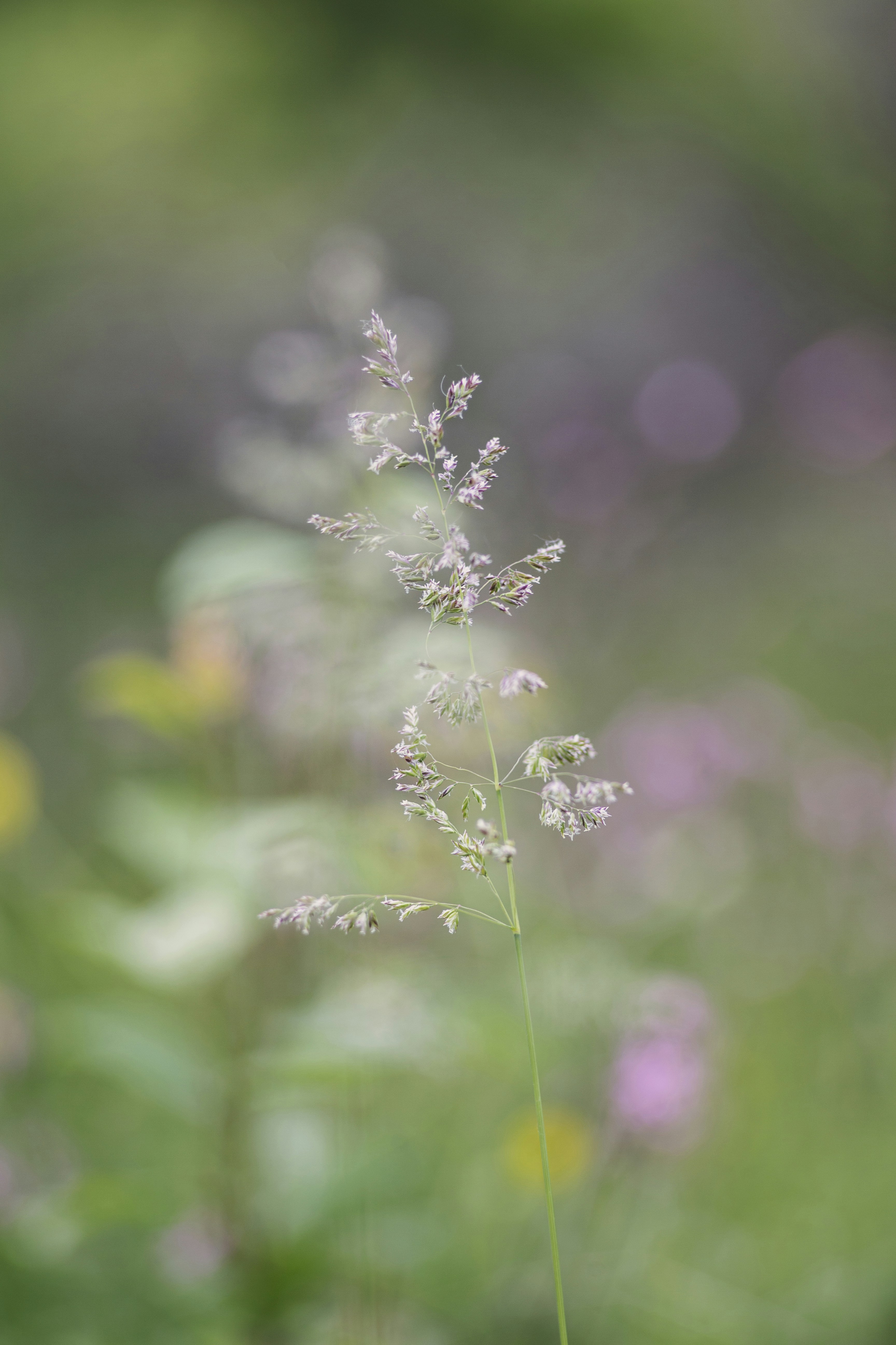 Photo by miloslopusina