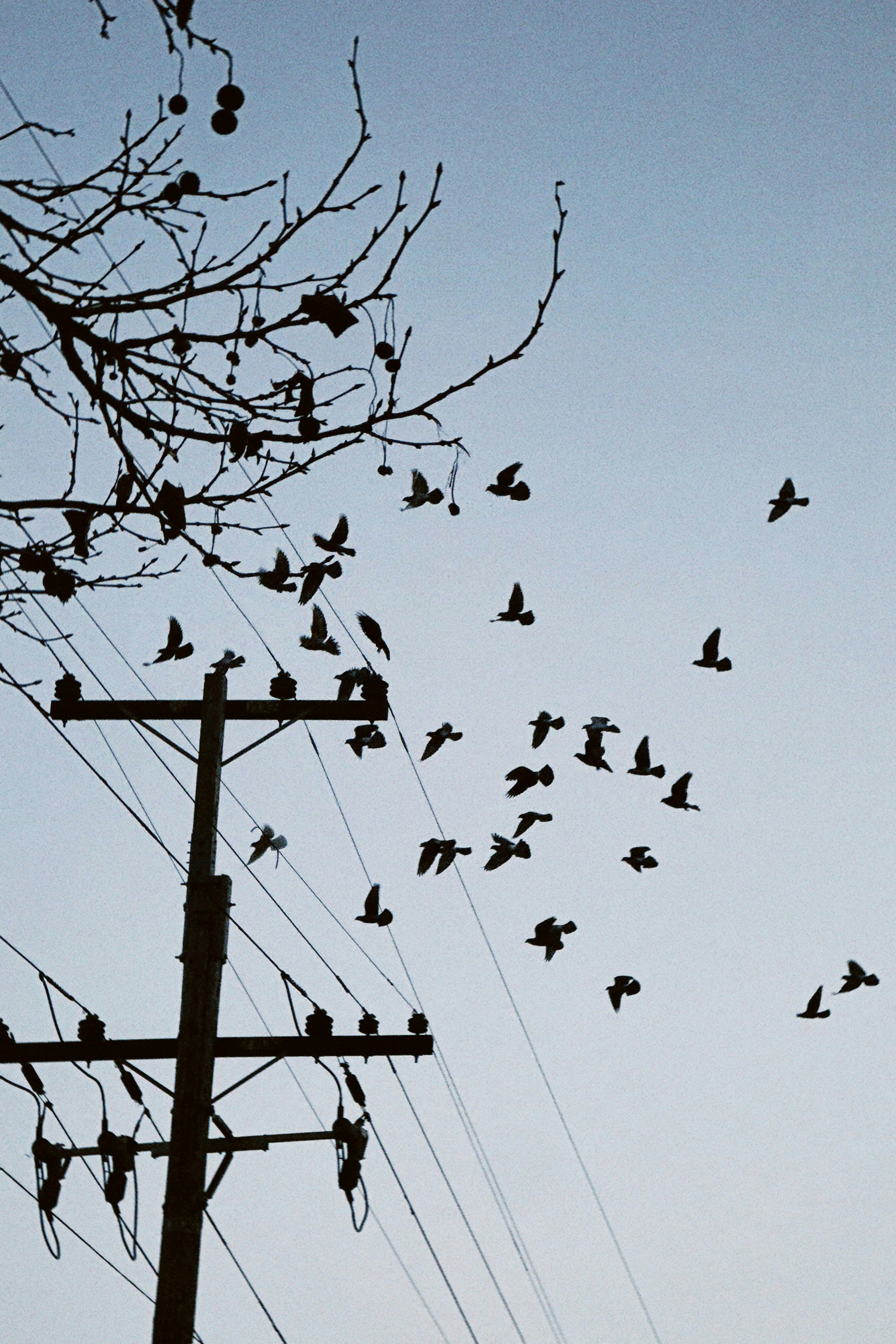 Photo by christopherstites