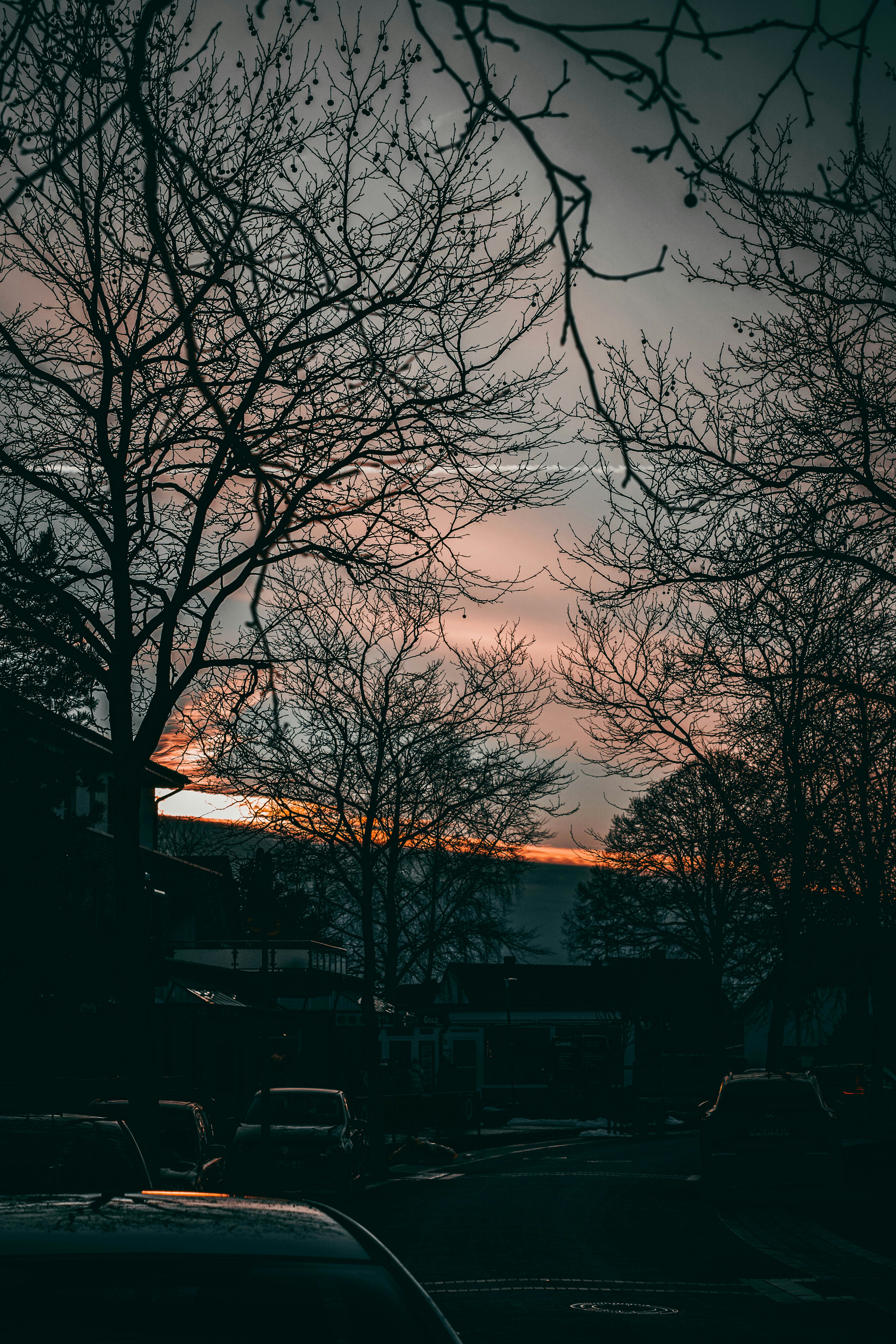 Photo by timothyjohnsonphoto