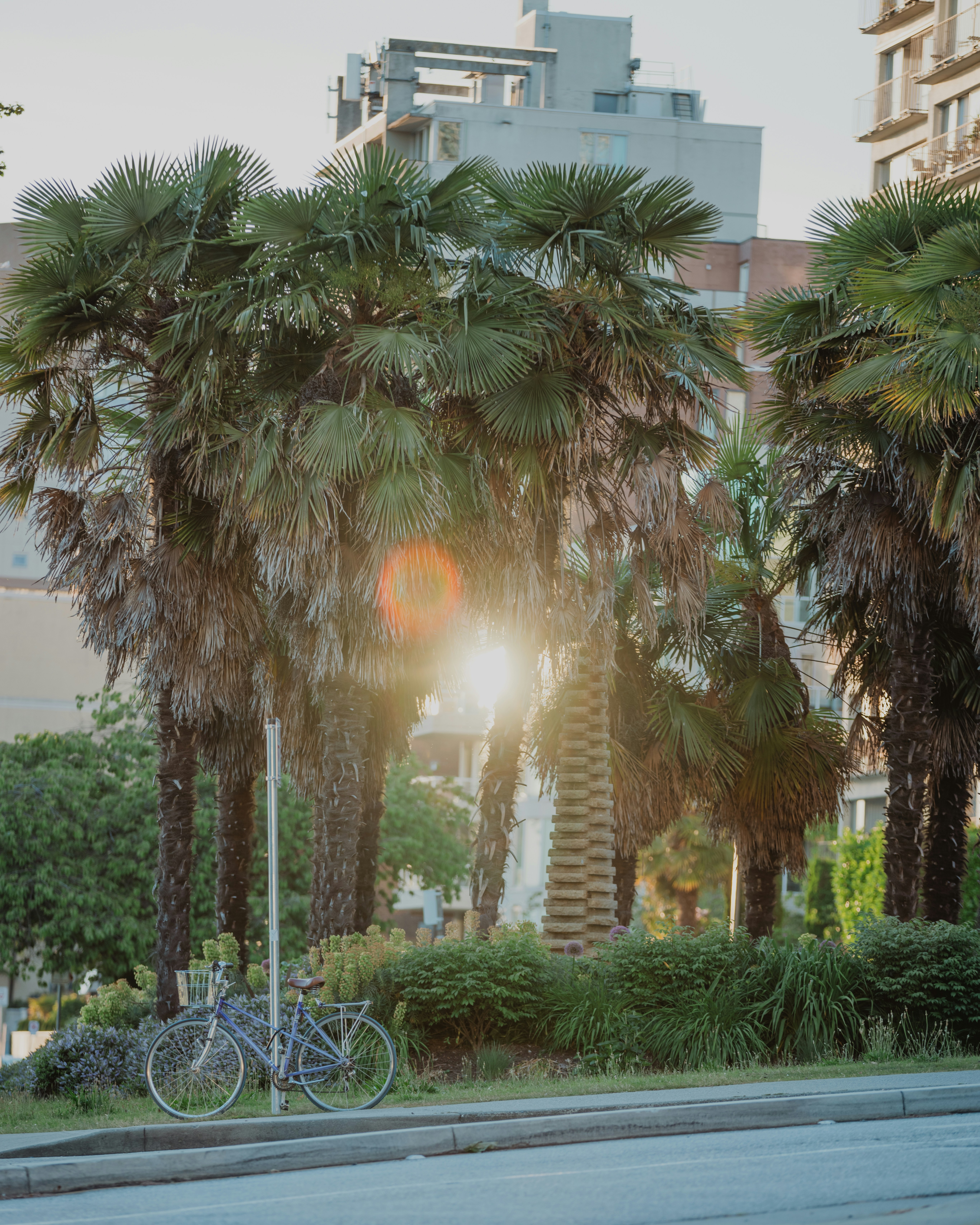 Photo by caroline_ross