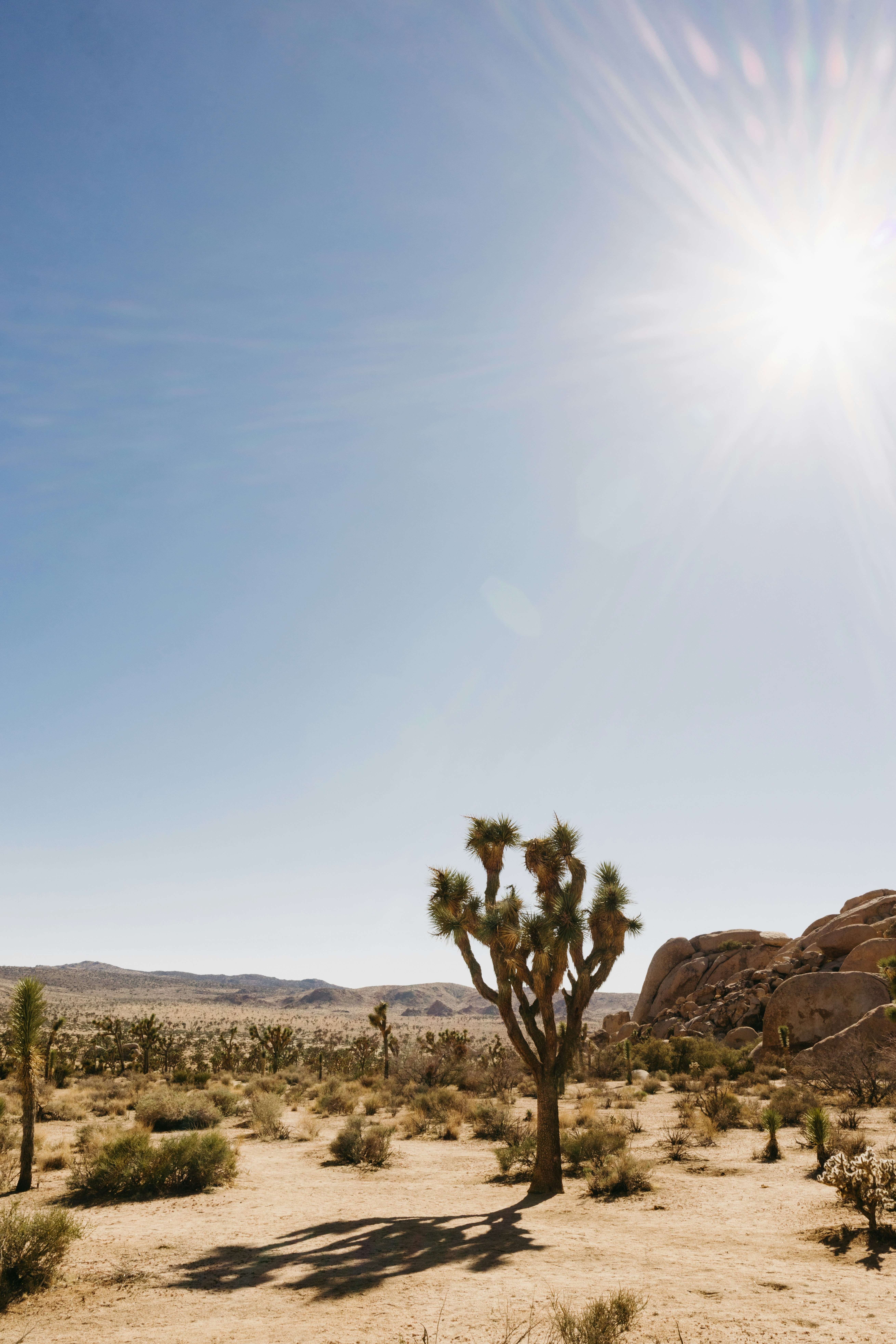 Photo by caroline_ross