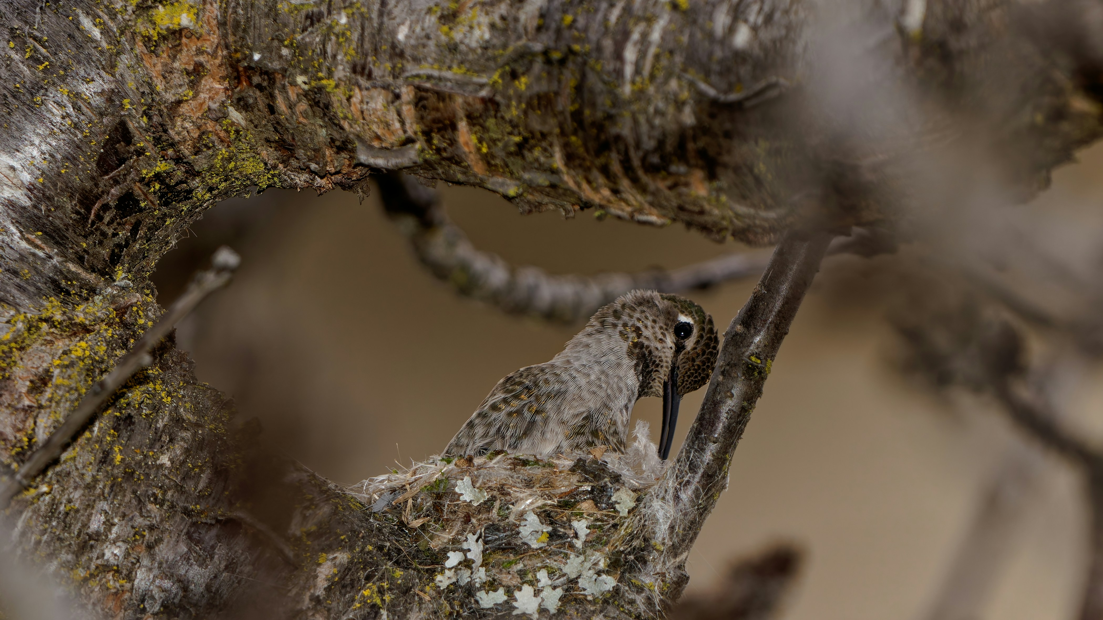 Photo by patrickbigelow_zoom_in