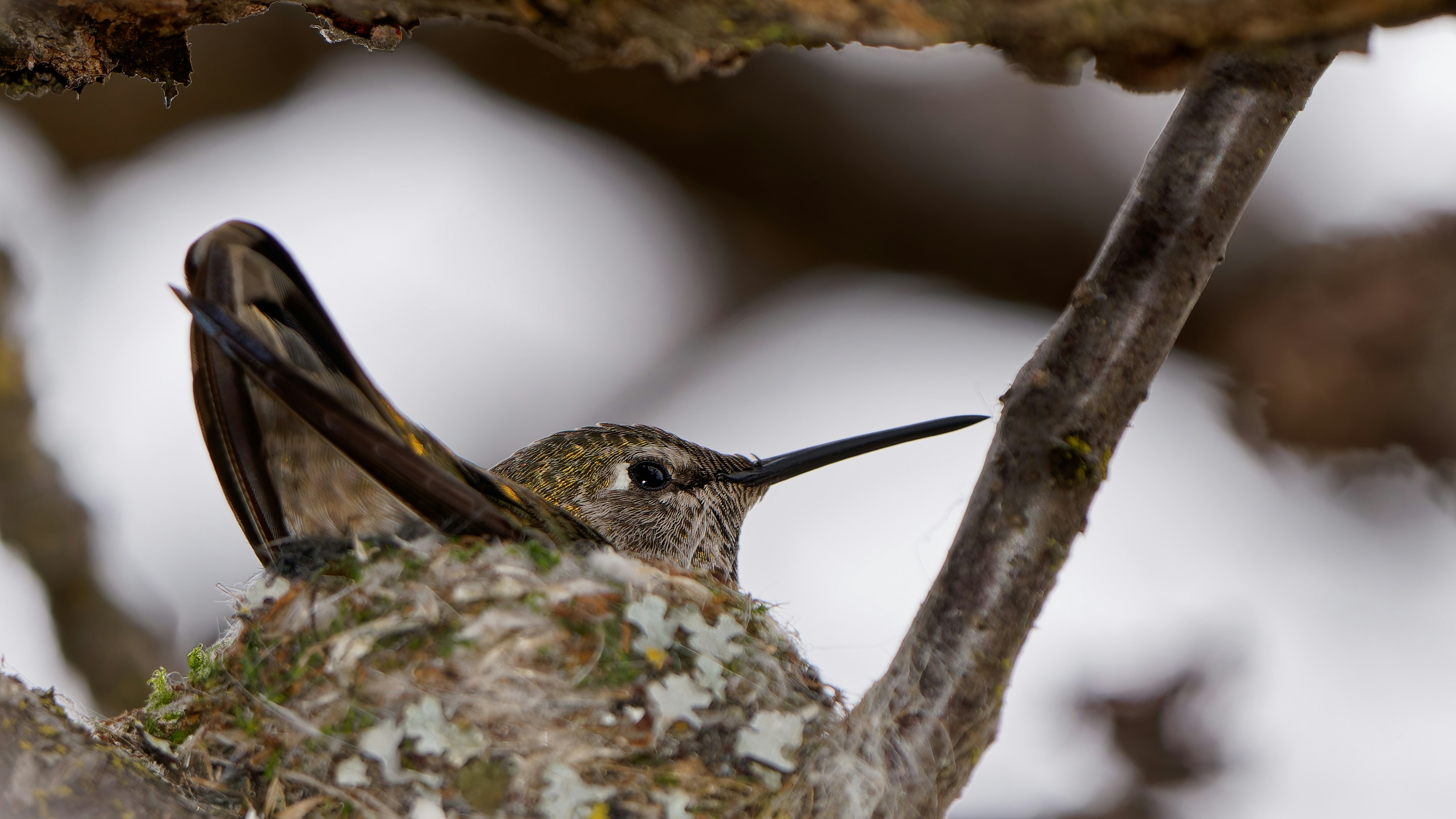 Photo by patrickbigelow_zoom_in