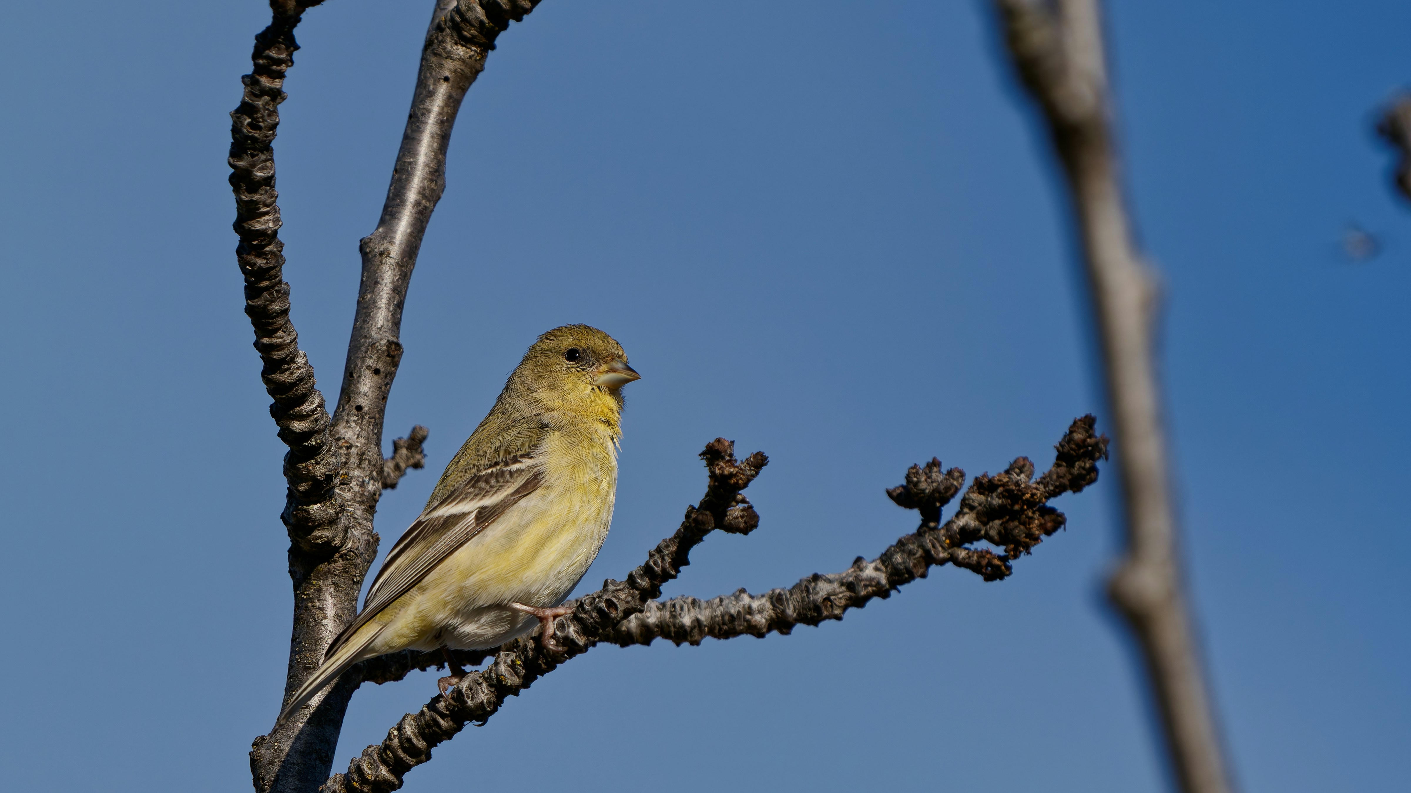 Photo by patrickbigelow_zoom_in