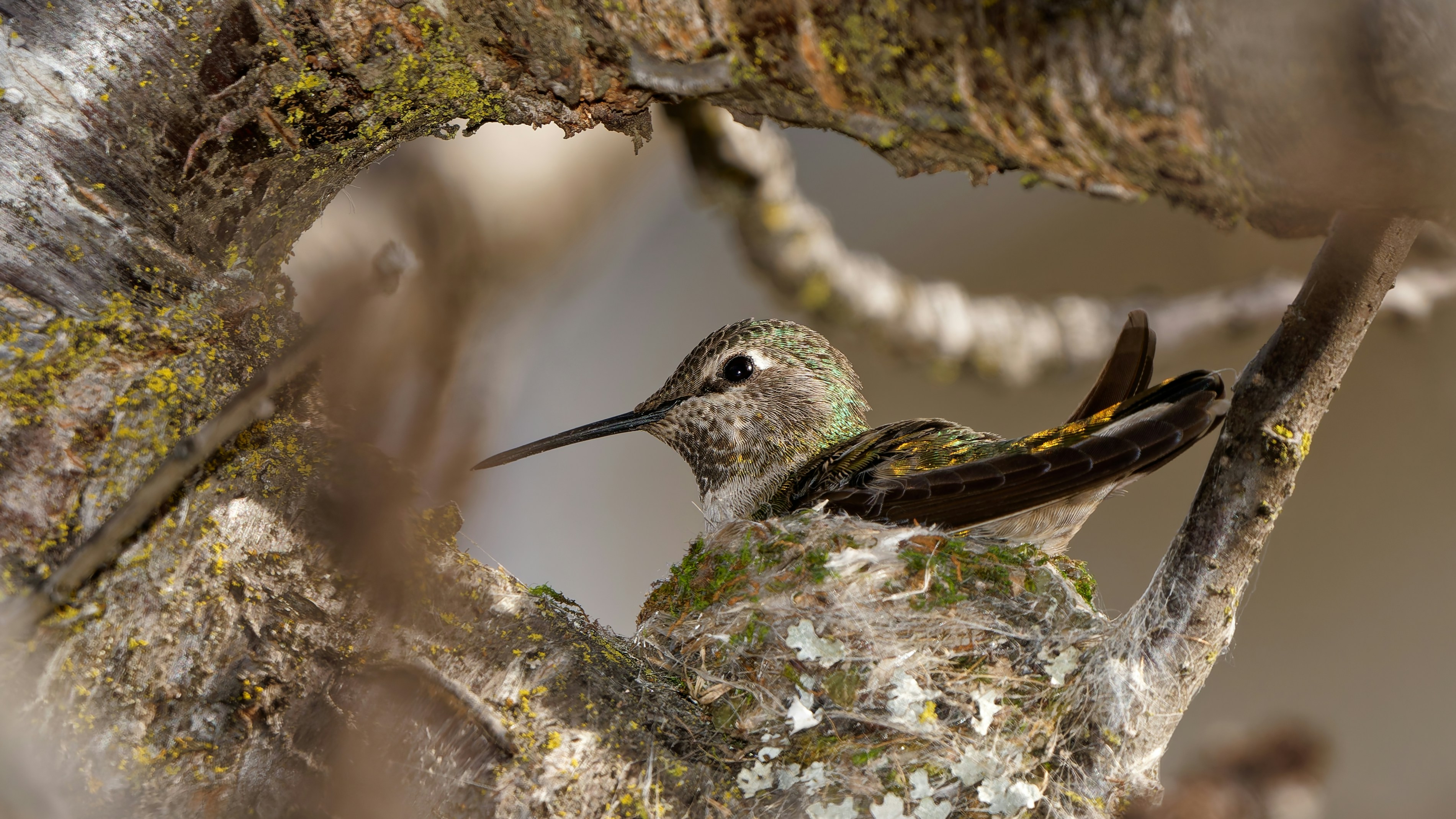 Photo by patrickbigelow_zoom_in